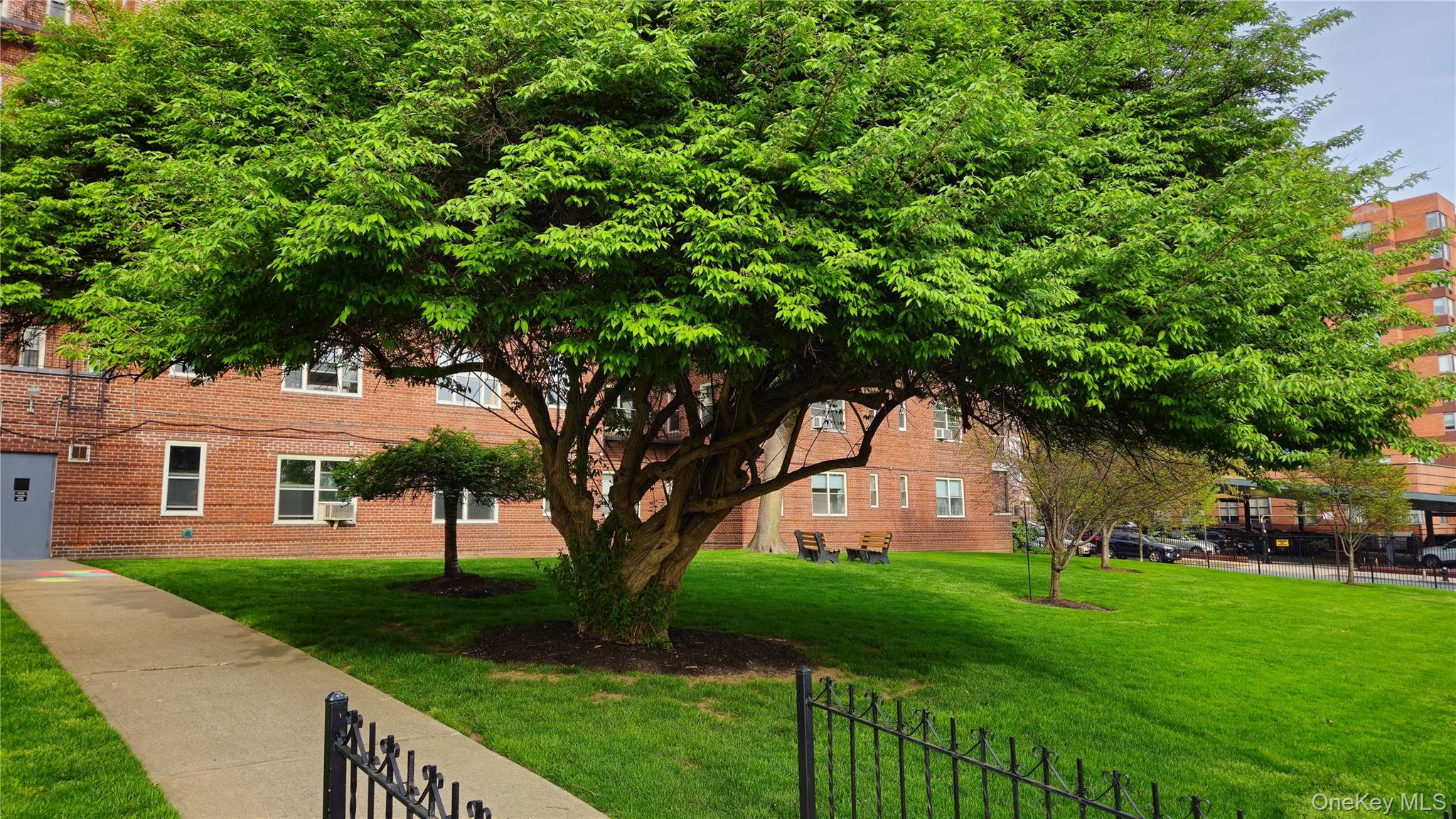 #16 photo, 113-14 72nd Road, קווינס Forest Hills , NY 11375