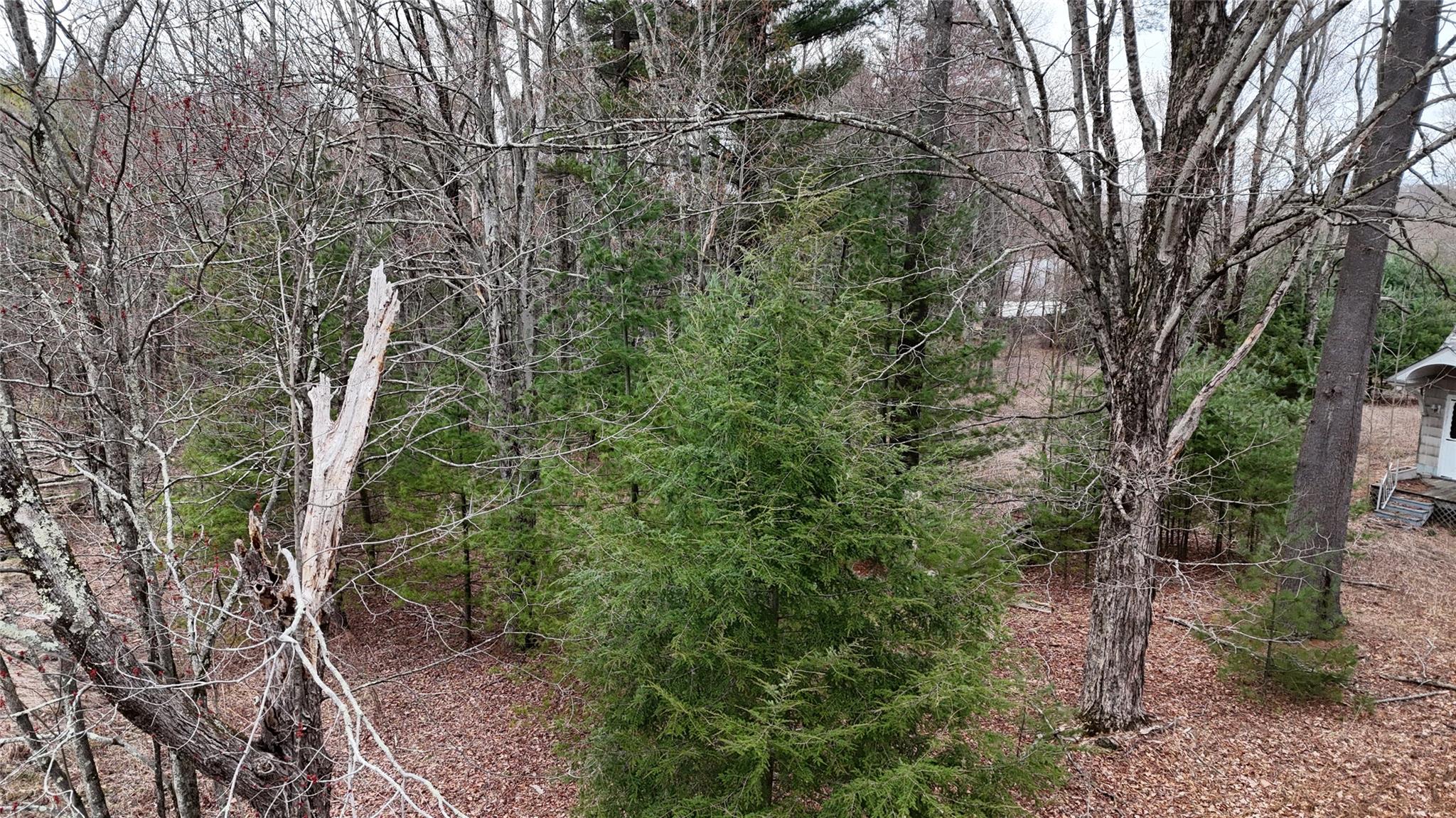 #12 photo, Rt-42, South Fallsburg , NY 12733