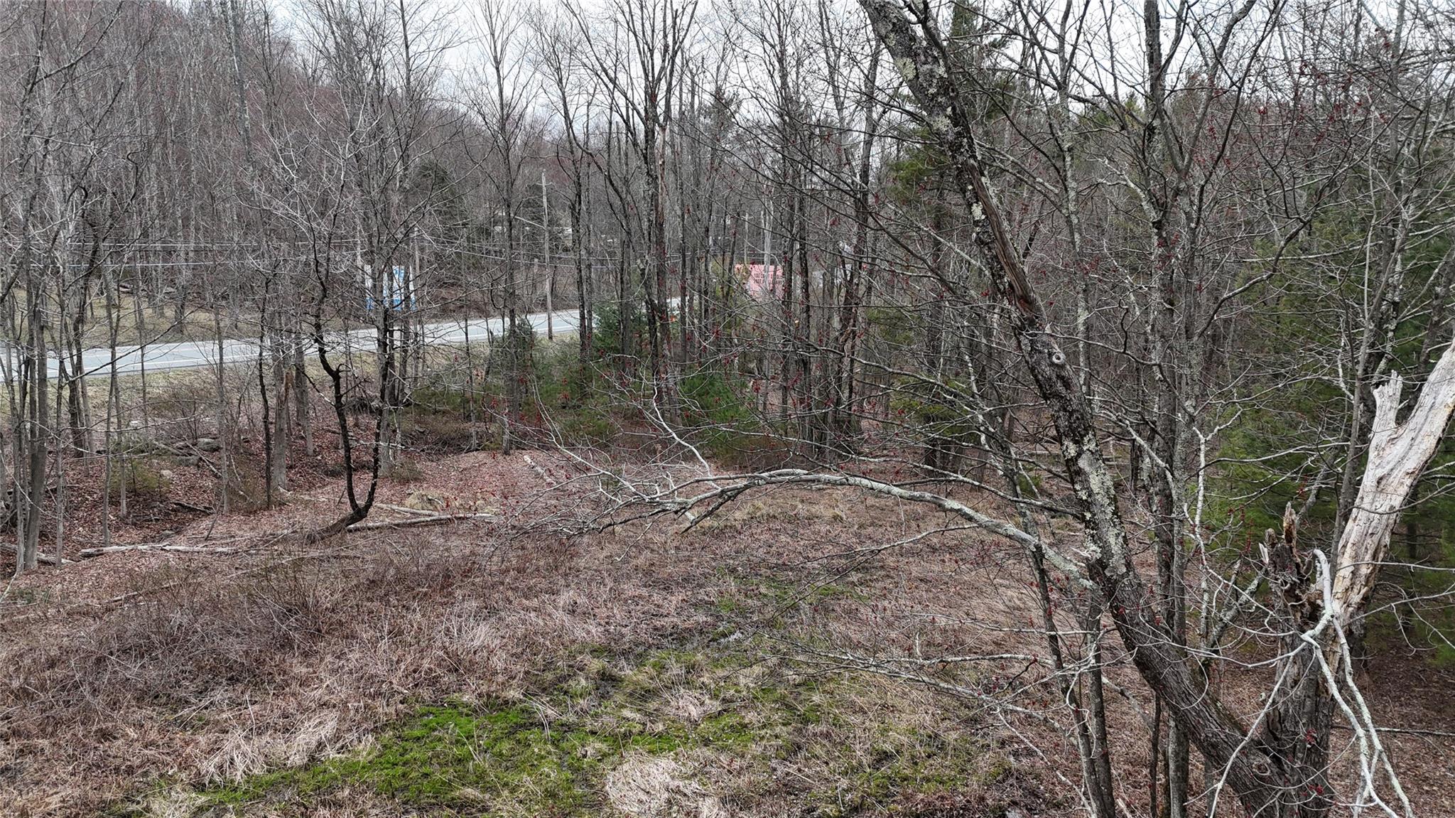 #13 photo, Rt-42, South Fallsburg , NY 12733