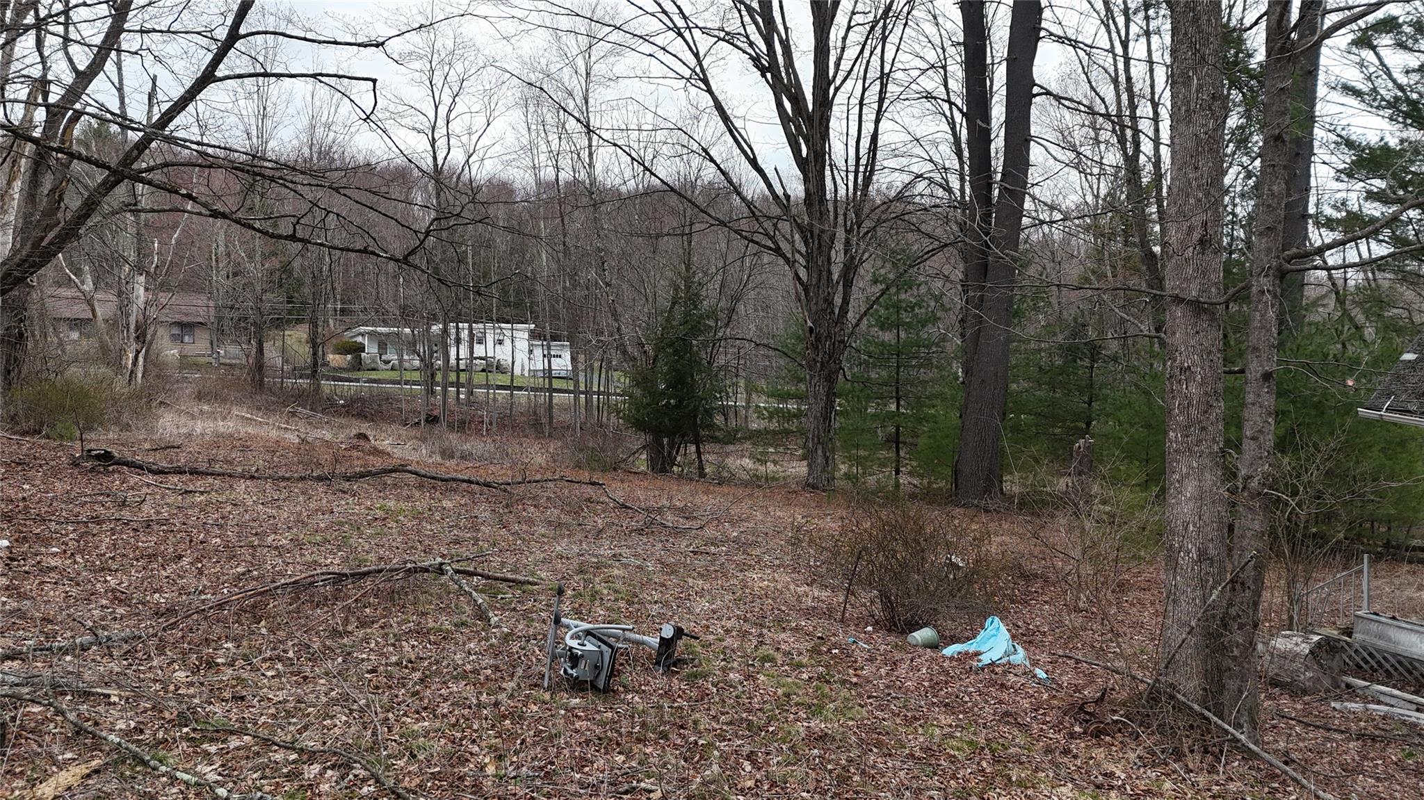 #16 photo, Rt-42, South Fallsburg , NY 12733