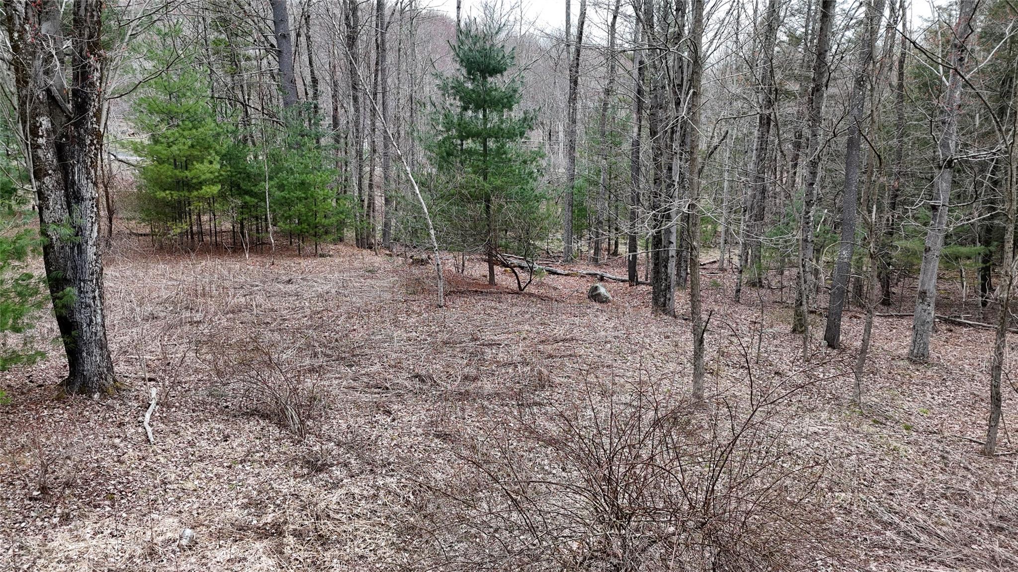 #17 photo, Rt-42, South Fallsburg , NY 12733