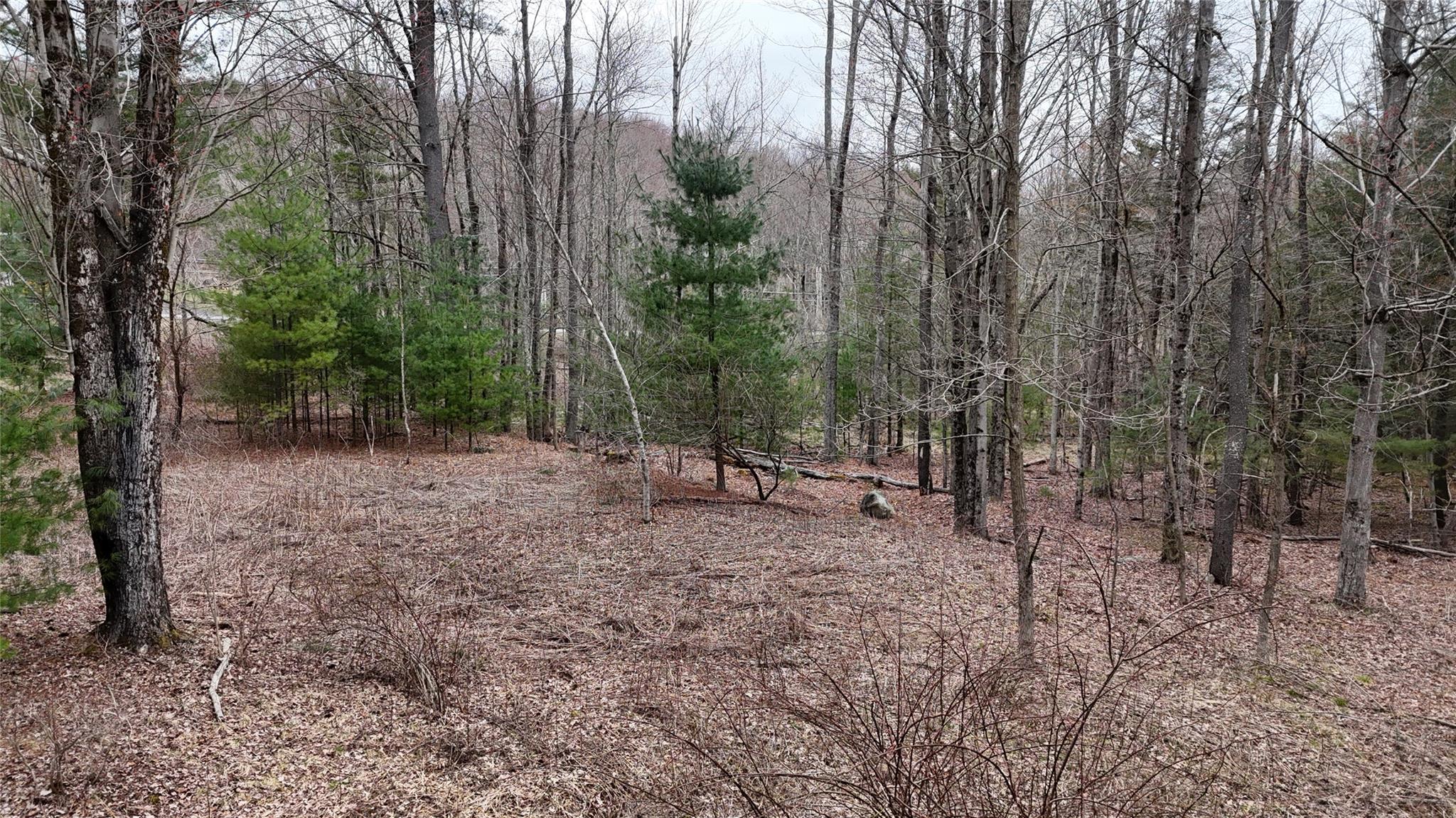 #19 photo, Rt-42, South Fallsburg , NY 12733