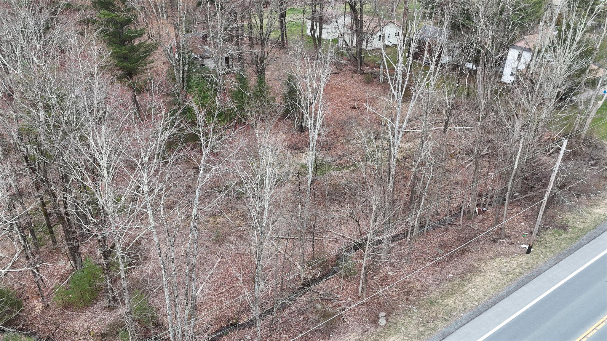 #7 photo, Rt-42, South Fallsburg , NY 12733