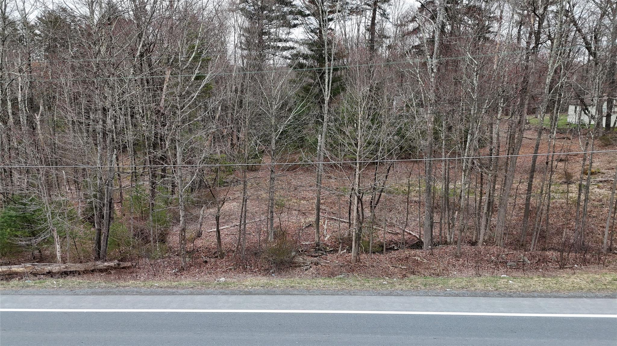 #9 photo, Rt-42, South Fallsburg , NY 12733