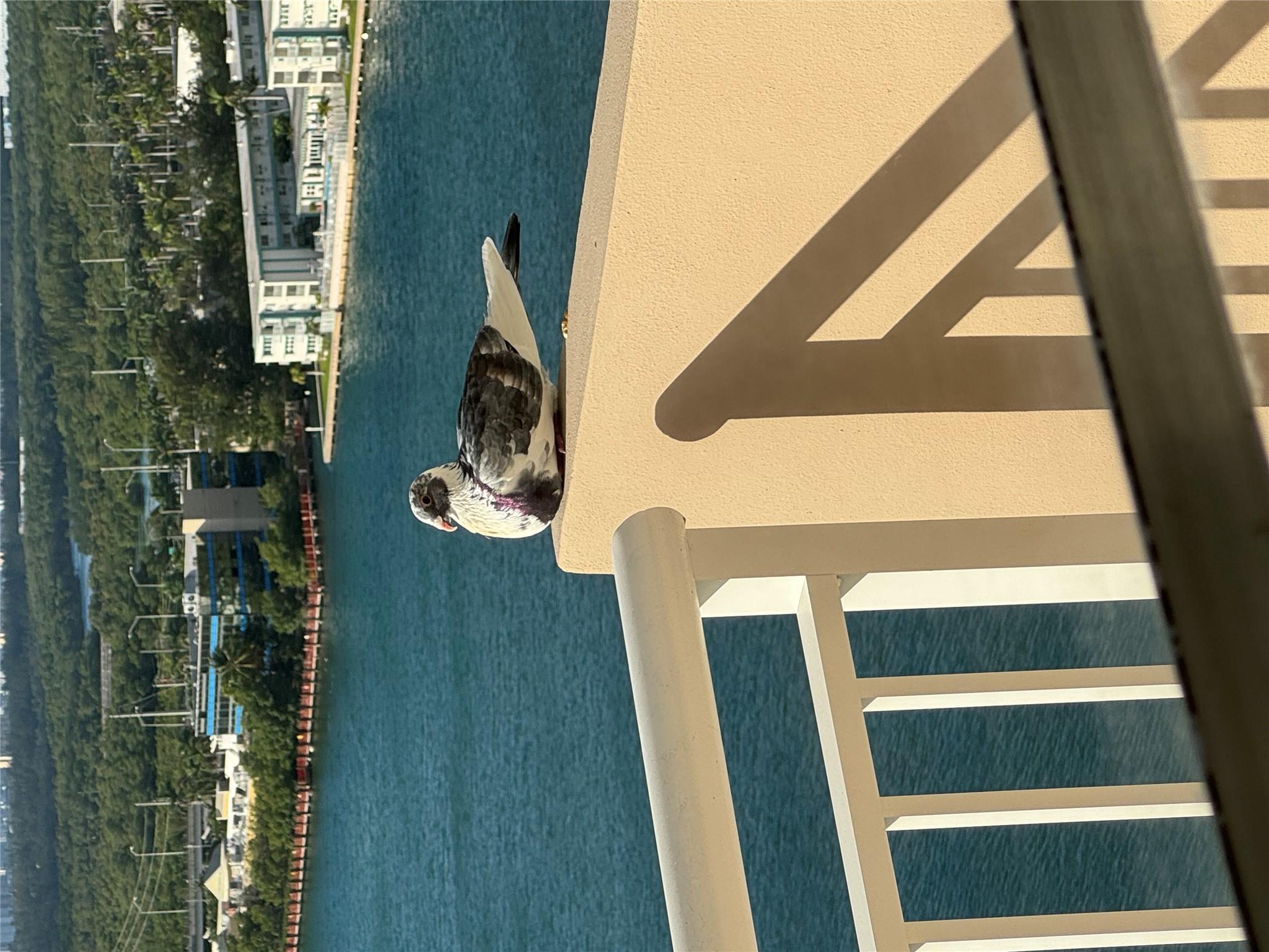 #2 photo, 250 174th St., 佛州 北迈阿密海滩 Other , FL 33160