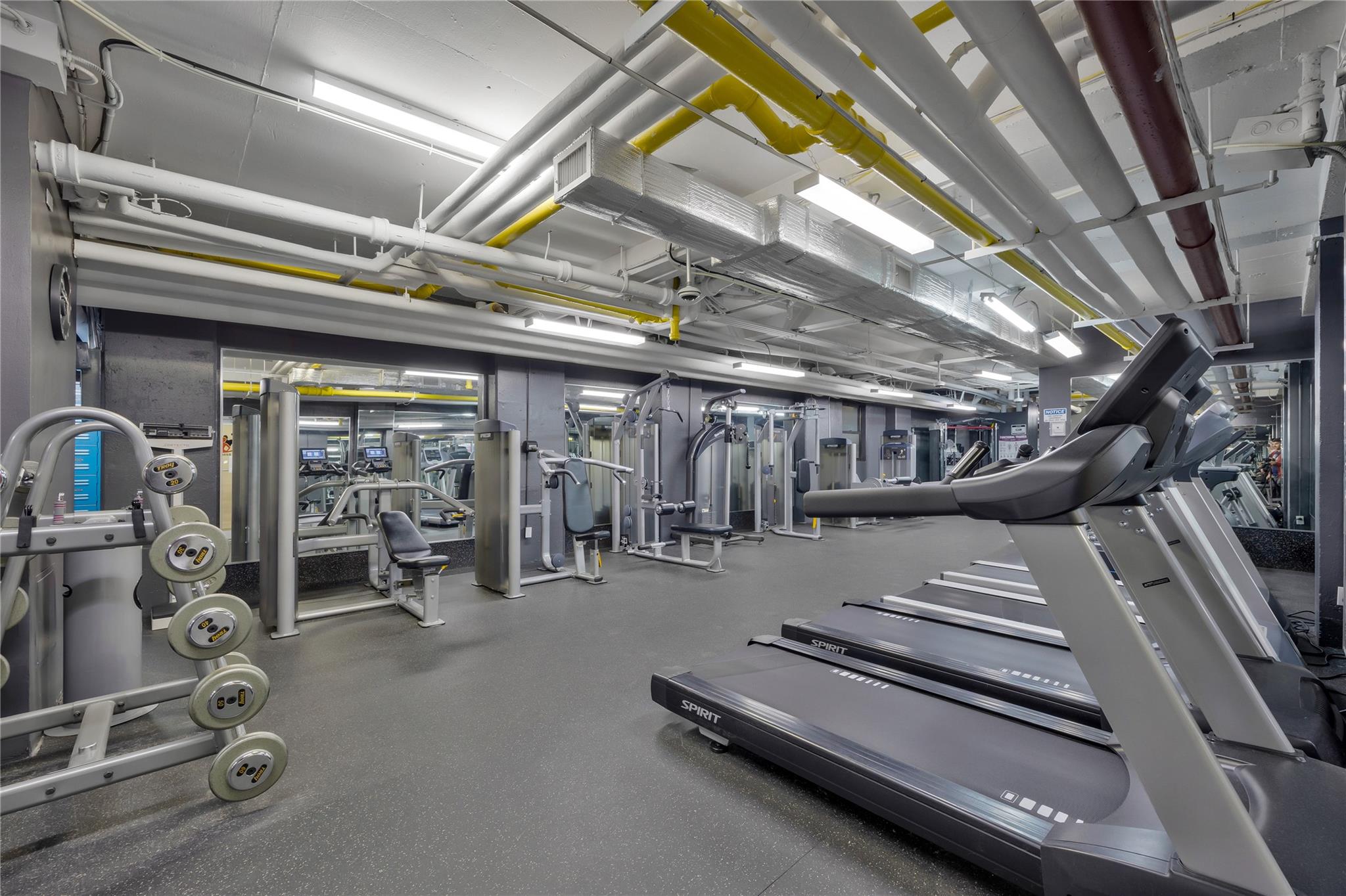 #13 photo, 99-60 63 Road, クイーンズ区 Rego Park , NY 11374