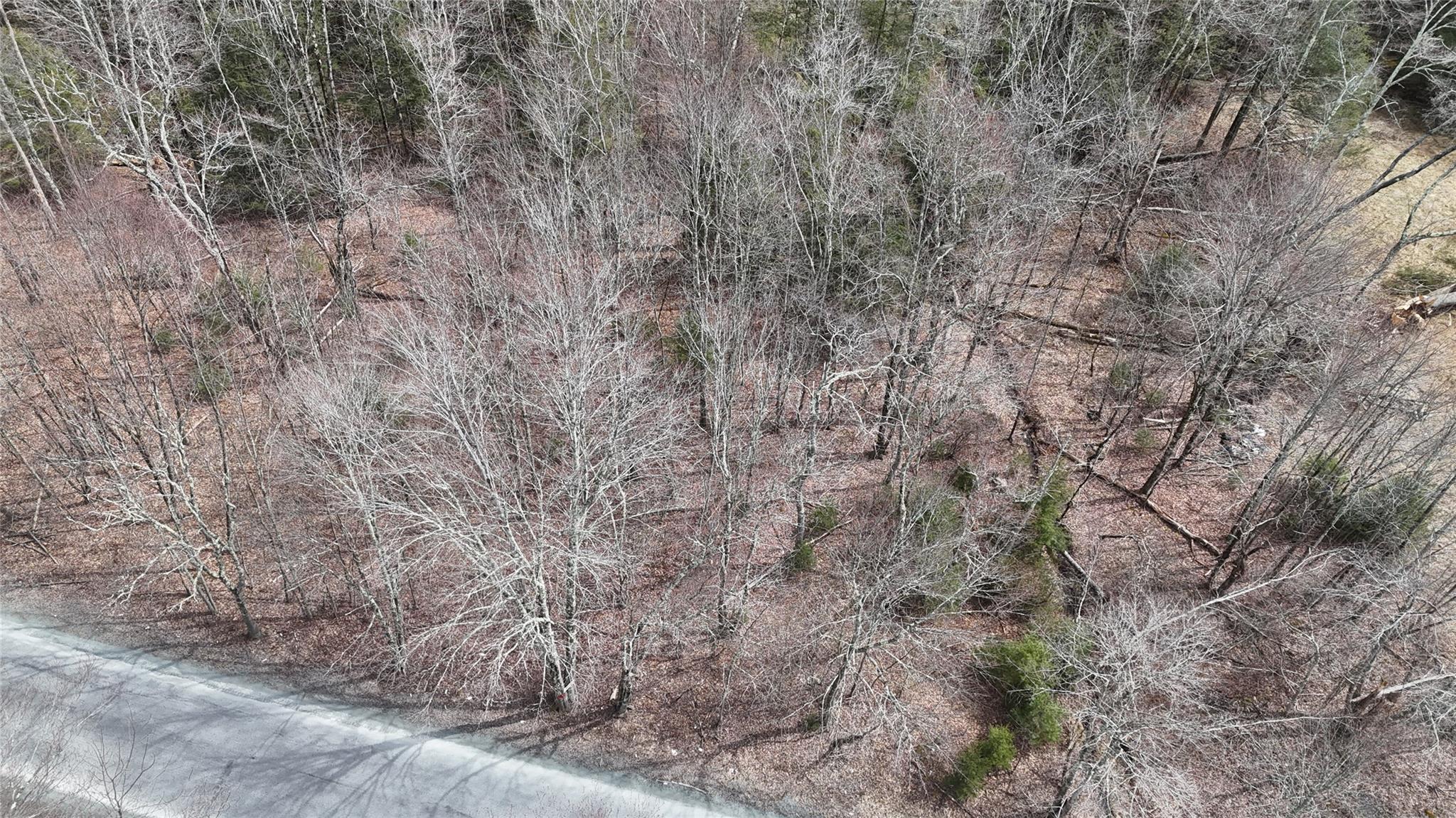 #5 photo, Hasbrouck A Road, Fallsburg , NY 12733