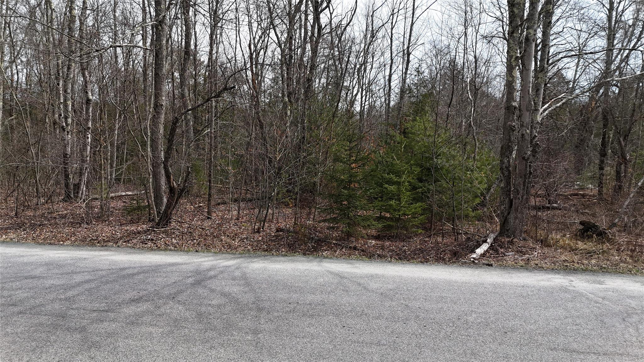 #6 photo, Hasbrouck A Road, Fallsburg , NY 12733