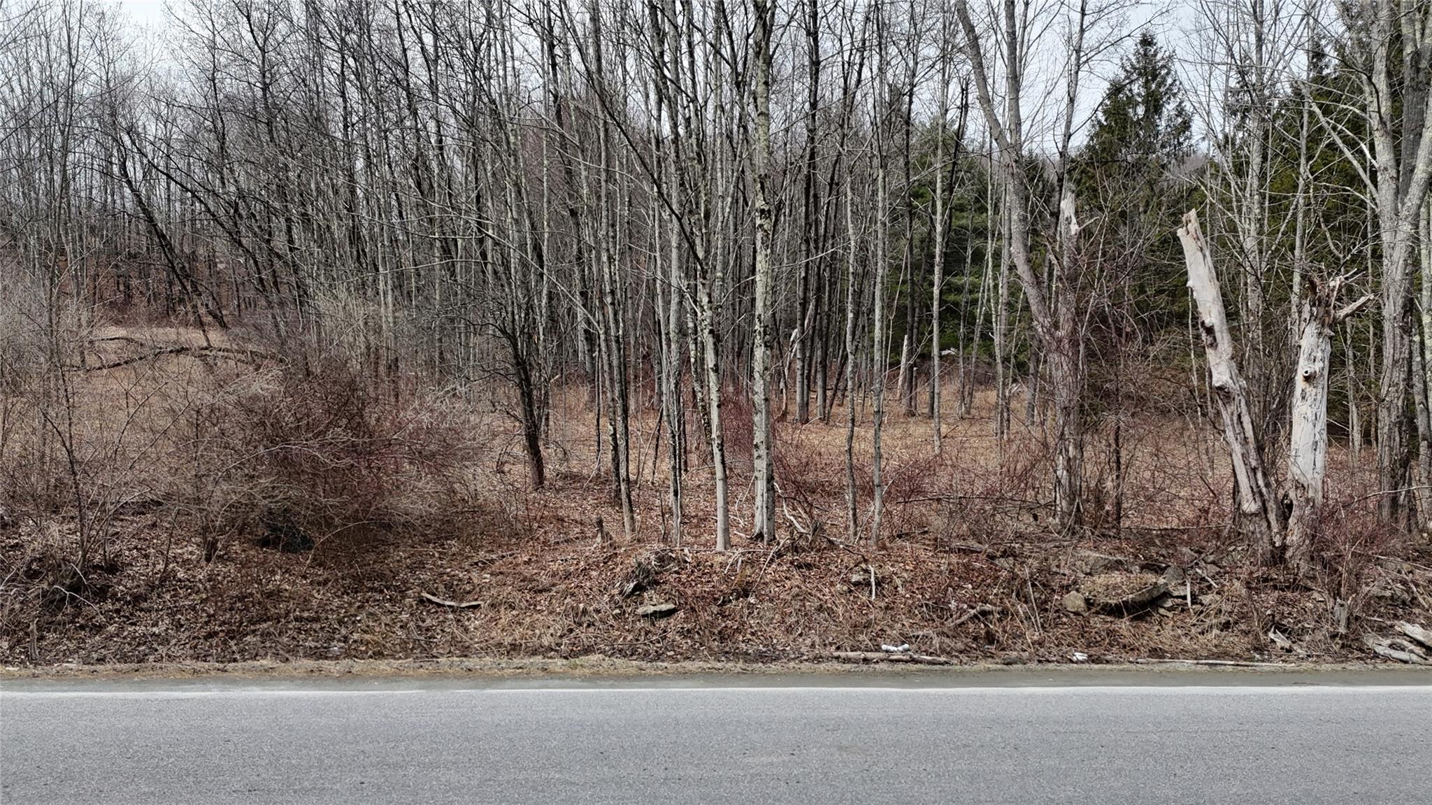 #7 photo, Hasbrouck A Road, Fallsburg , NY 12733