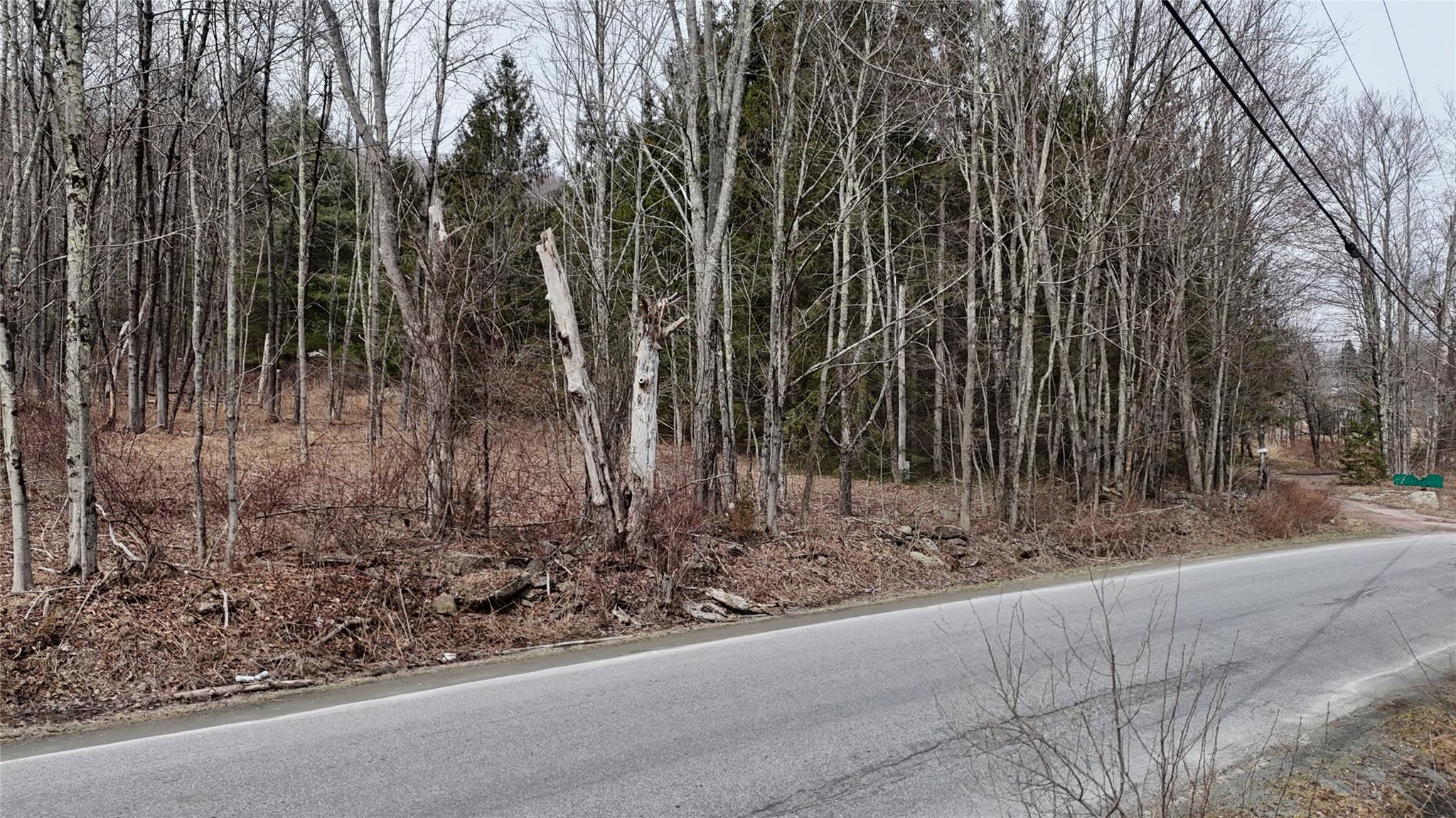 #8 photo, Hasbrouck A Road, Fallsburg , NY 12733