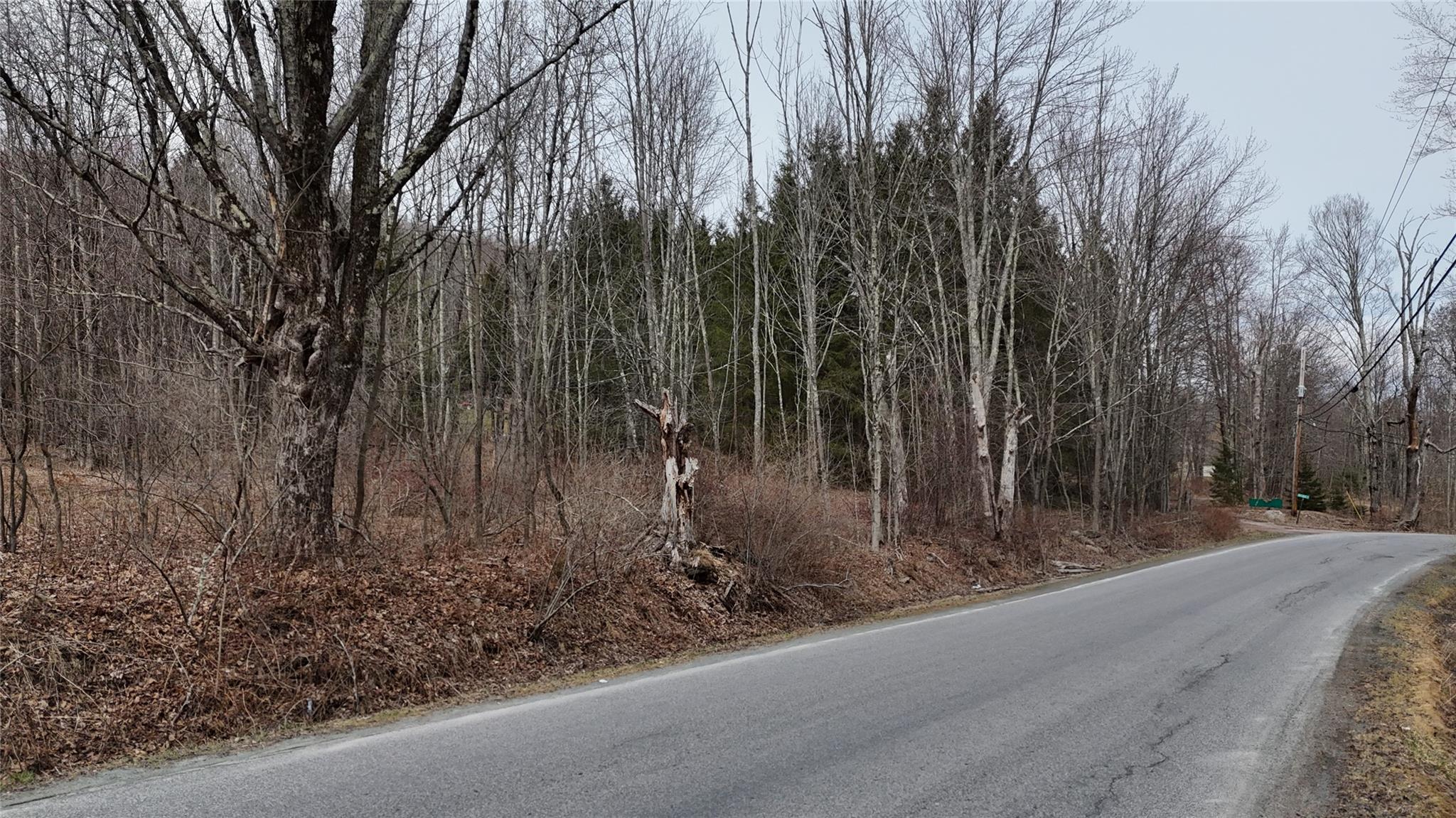 #9 photo, Hasbrouck A Road, Fallsburg , NY 12733