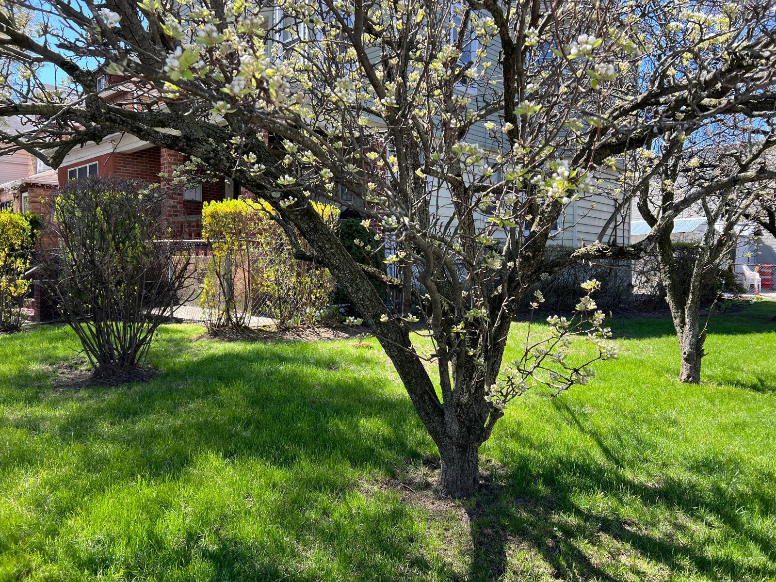 #5 photo, 1006 E 31st Street, 布鲁克林 Brooklyn , NY 11210