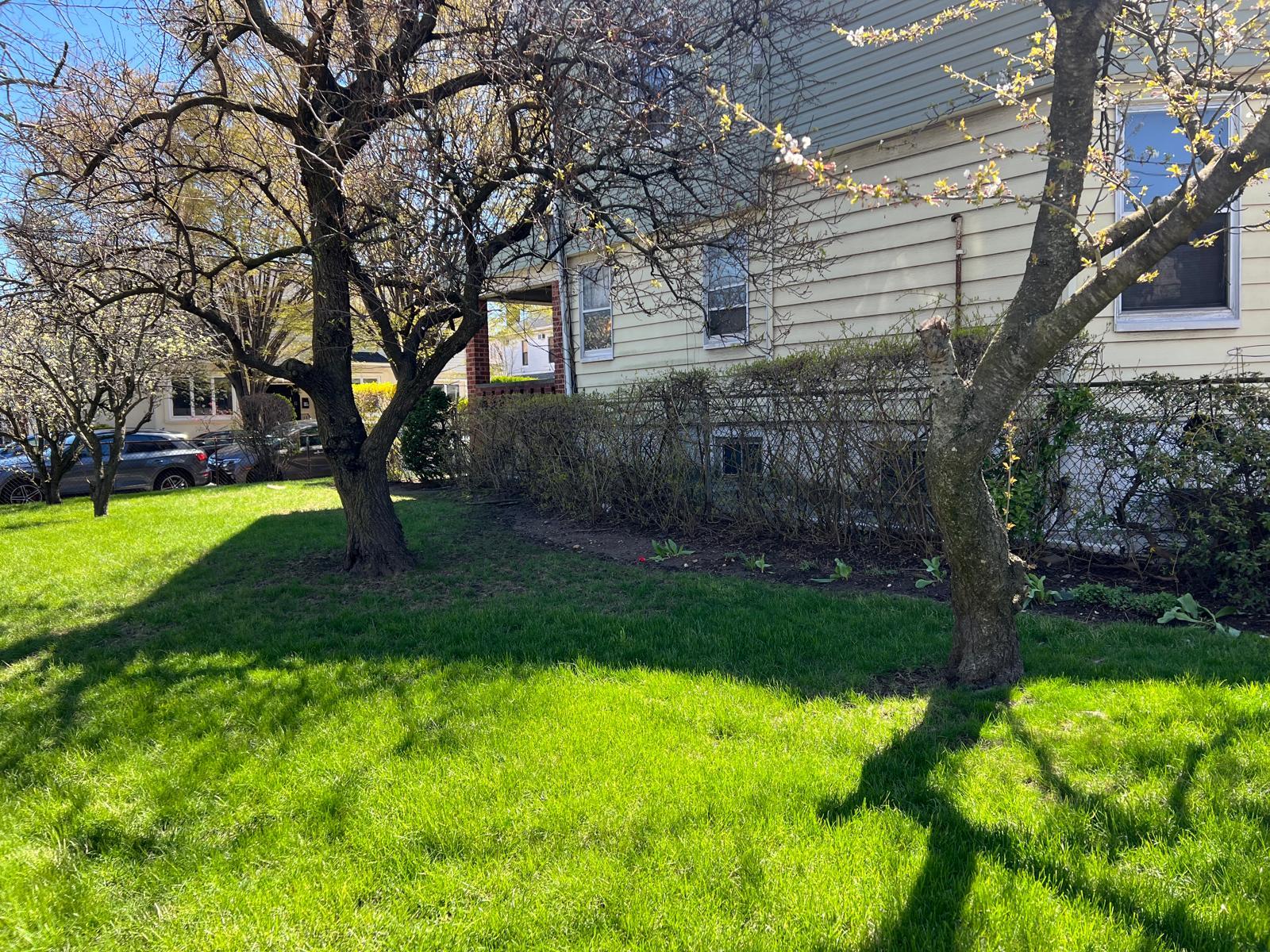 #6 photo, 1006 E 31st Street, 布鲁克林 Brooklyn , NY 11210