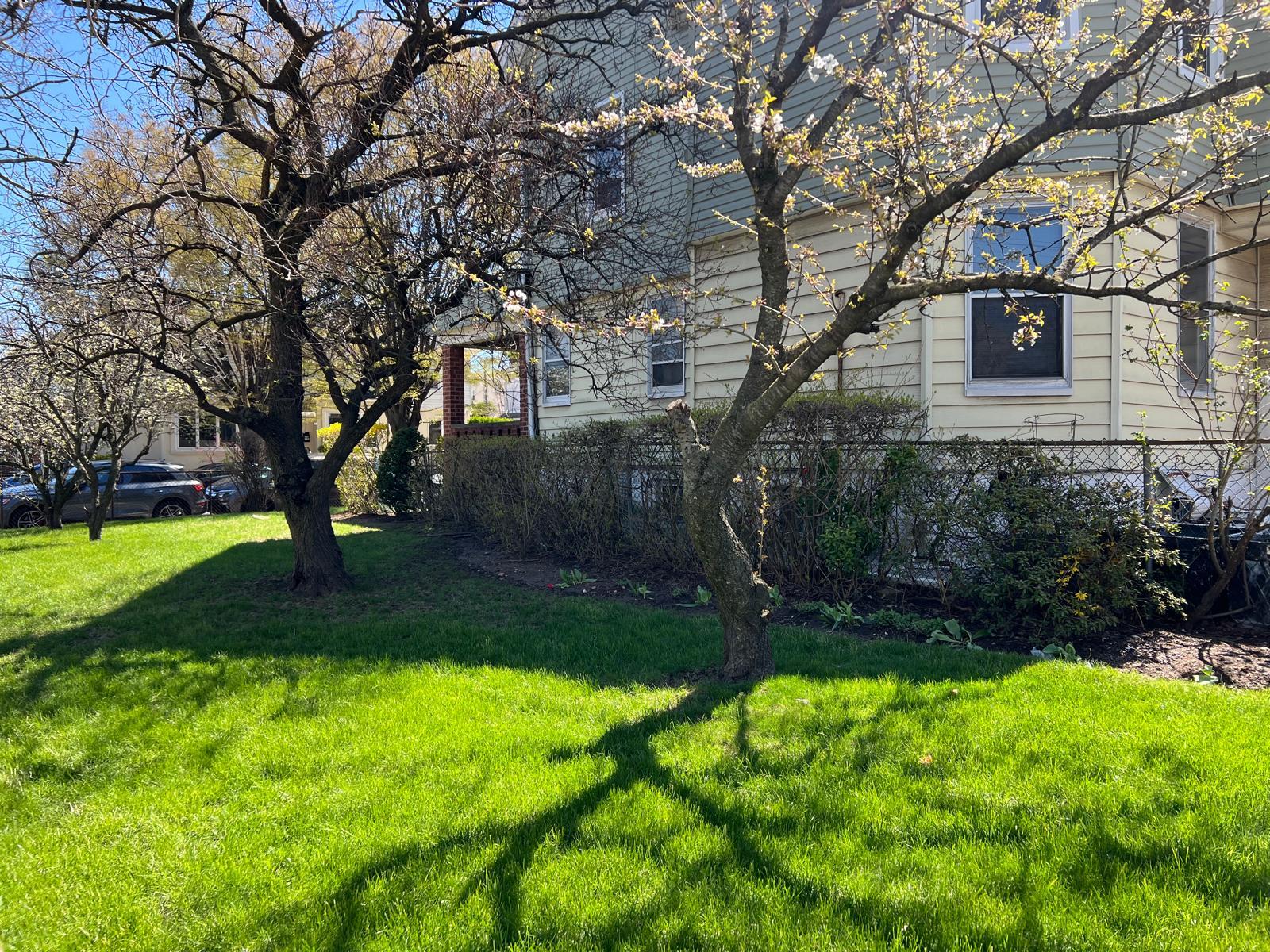 #8 photo, 1006 E 31st Street, 布鲁克林 Brooklyn , NY 11210