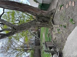 #17 photo, 14340 Franklin Avenue, 法拉盛 Flushing , NY 11355