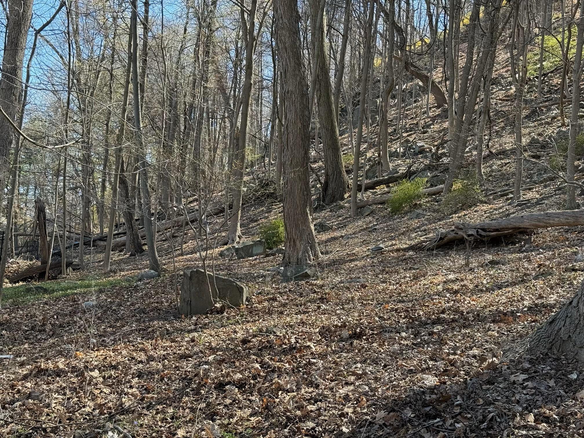 #10 photo, 938 Route 9W, Nyack , NY 10960