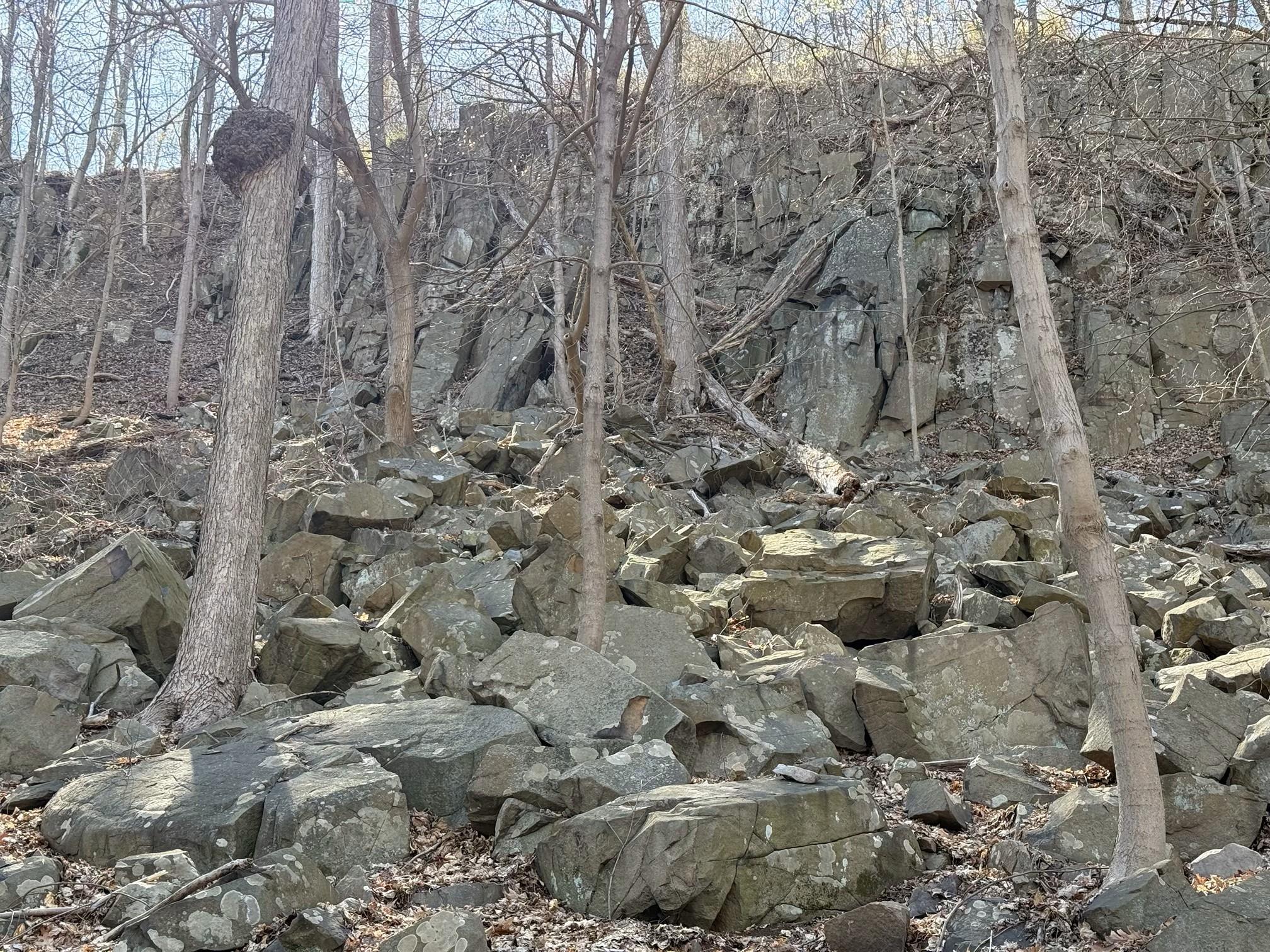 #11 photo, 938 Route 9W, Nyack , NY 10960