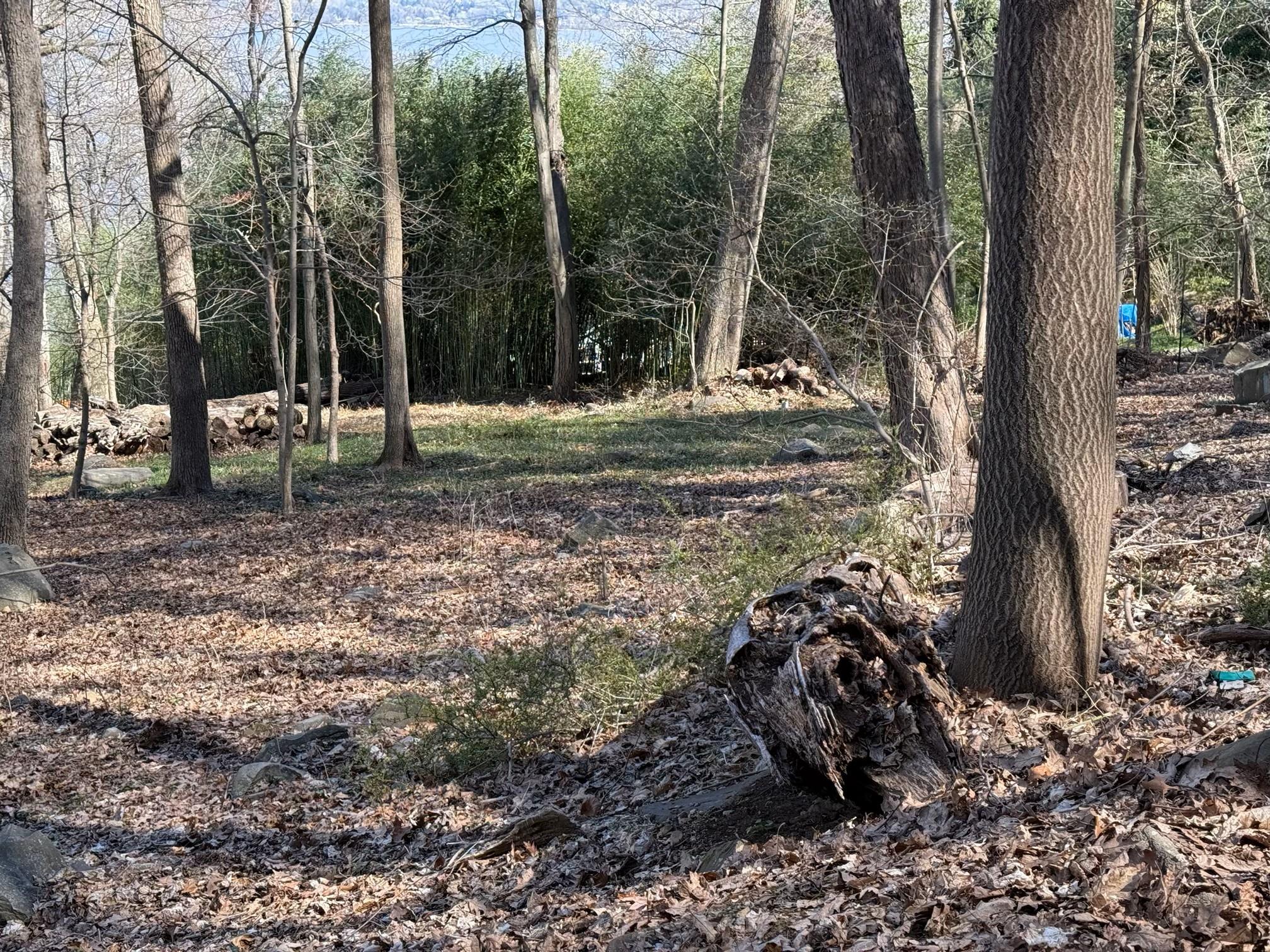 #12 photo, 938 Route 9W, Nyack , NY 10960