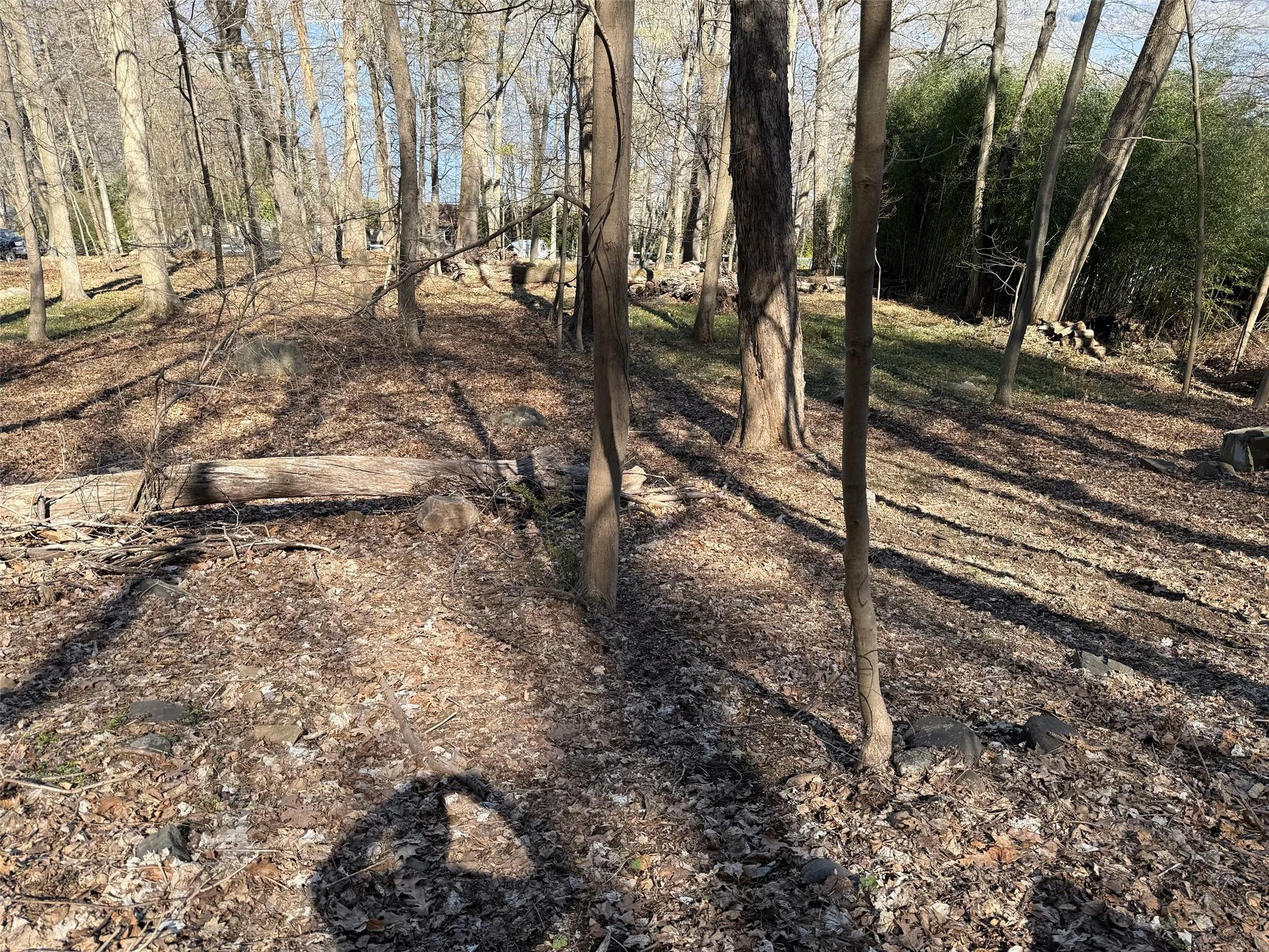 #13 photo, 938 Route 9W, Nyack , NY 10960