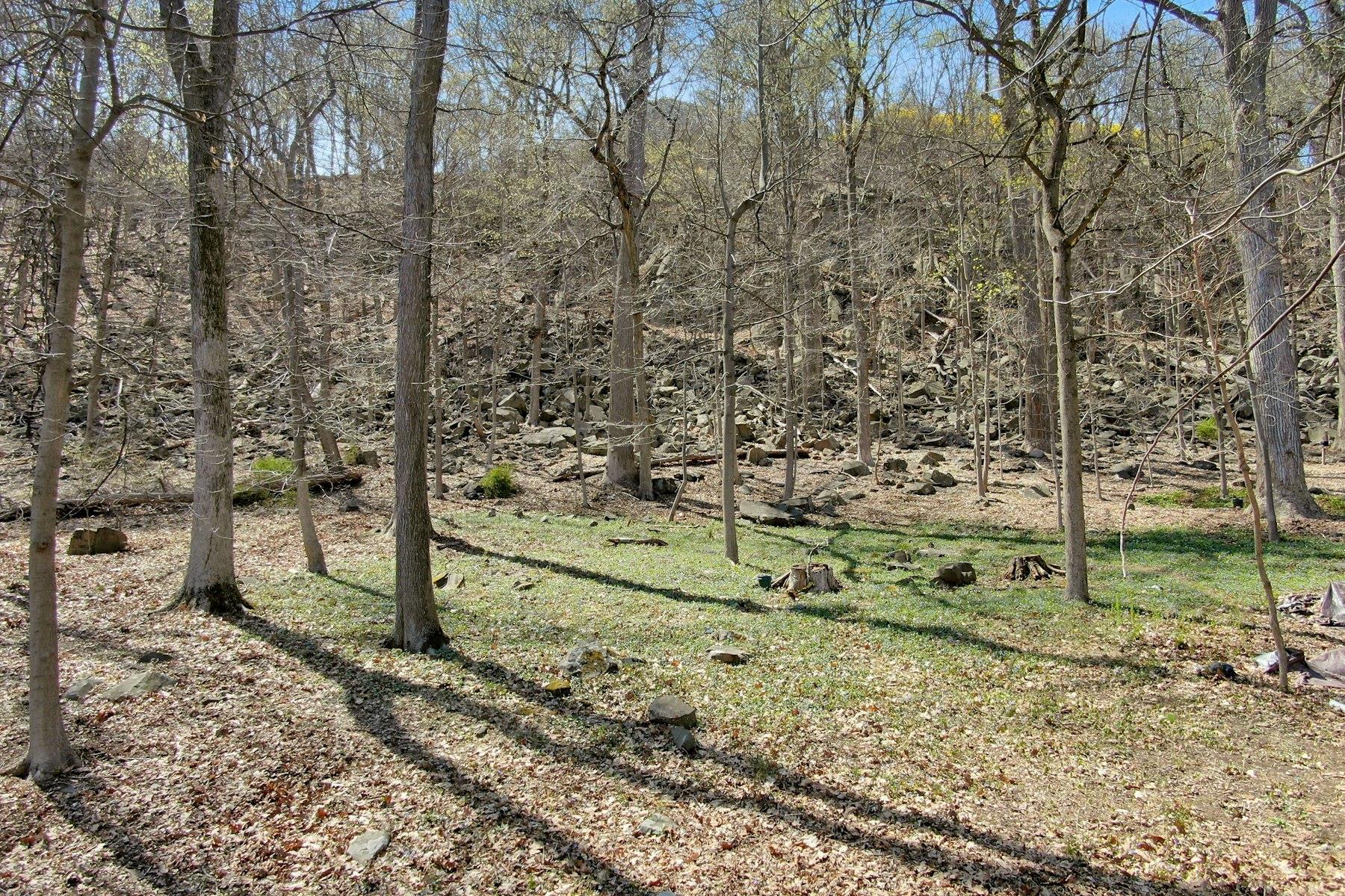 #2 photo, 938 Route 9W, Nyack , NY 10960