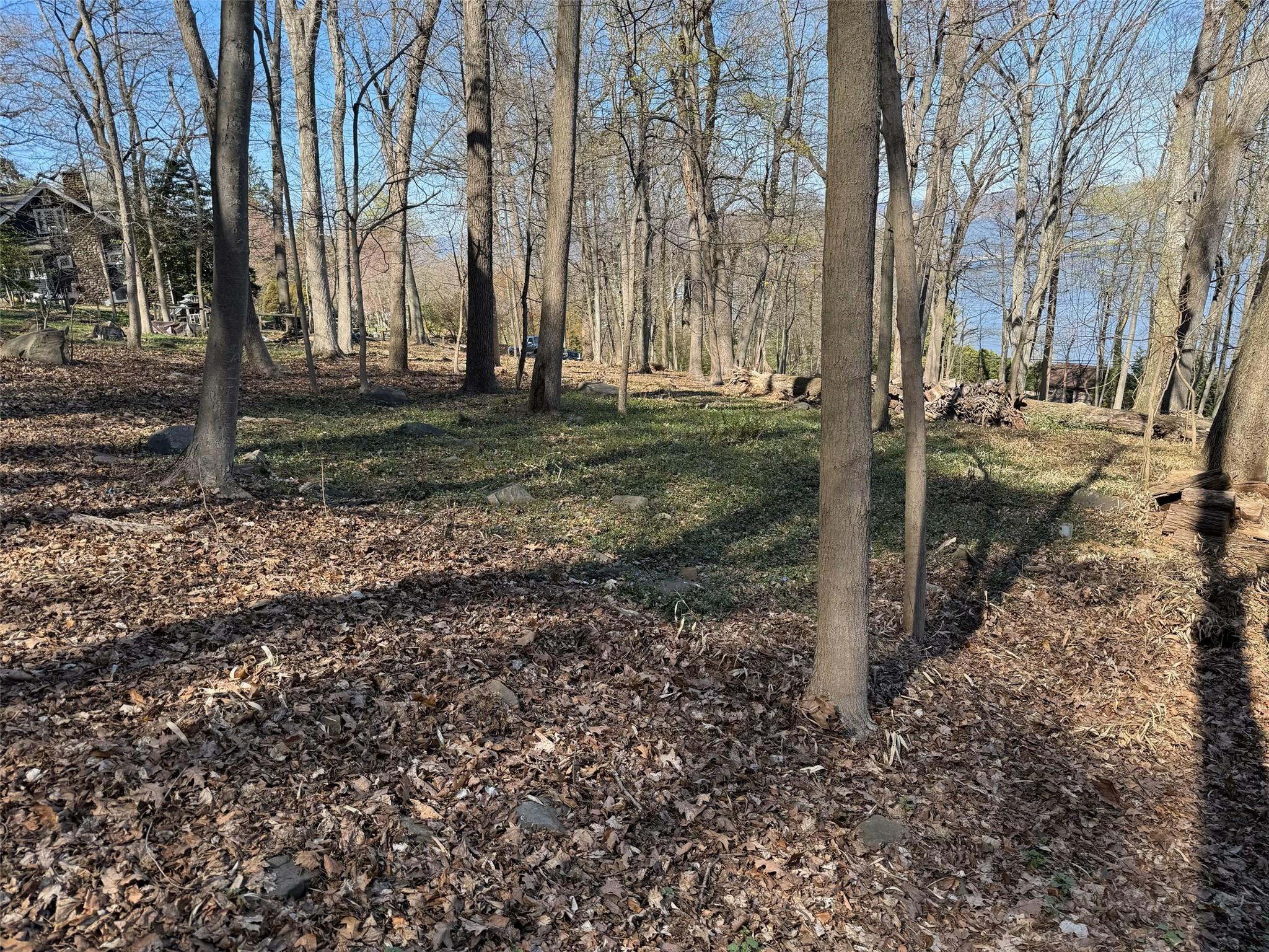 #8 photo, 938 Route 9W, Nyack , NY 10960