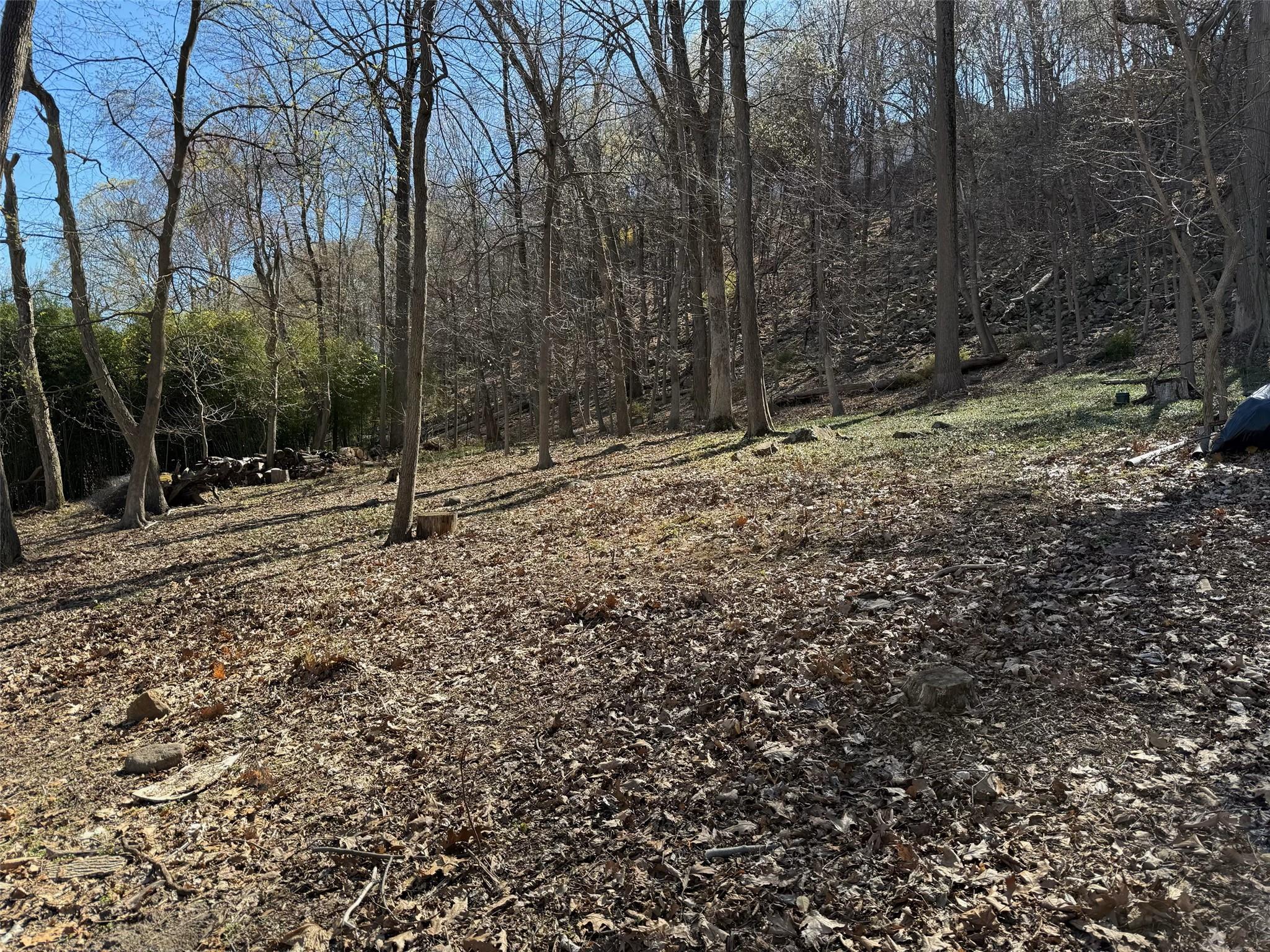 #9 photo, 938 Route 9W, Nyack , NY 10960