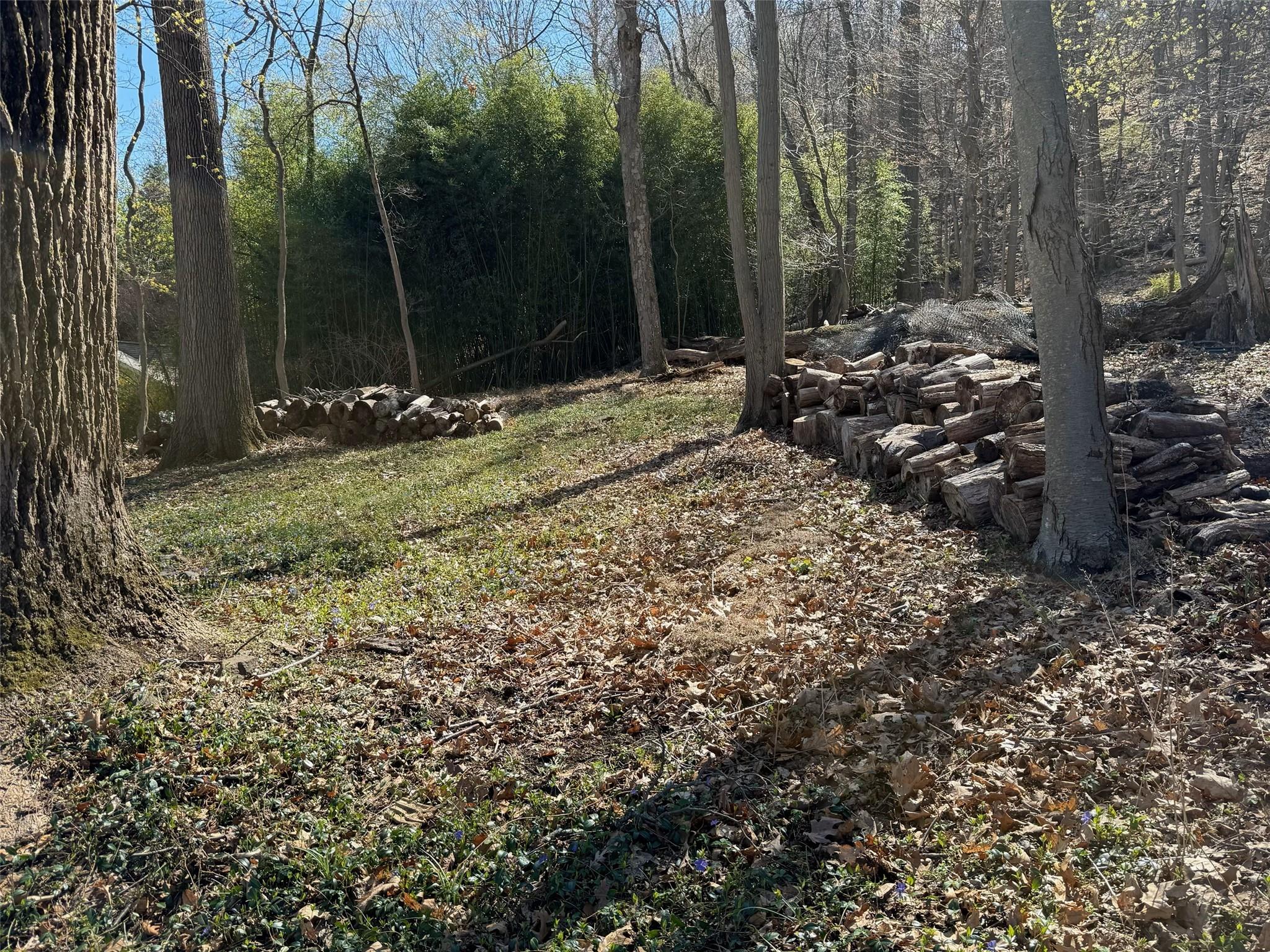 #10 photo, 936 Route 9W, Nyack , NY 10960