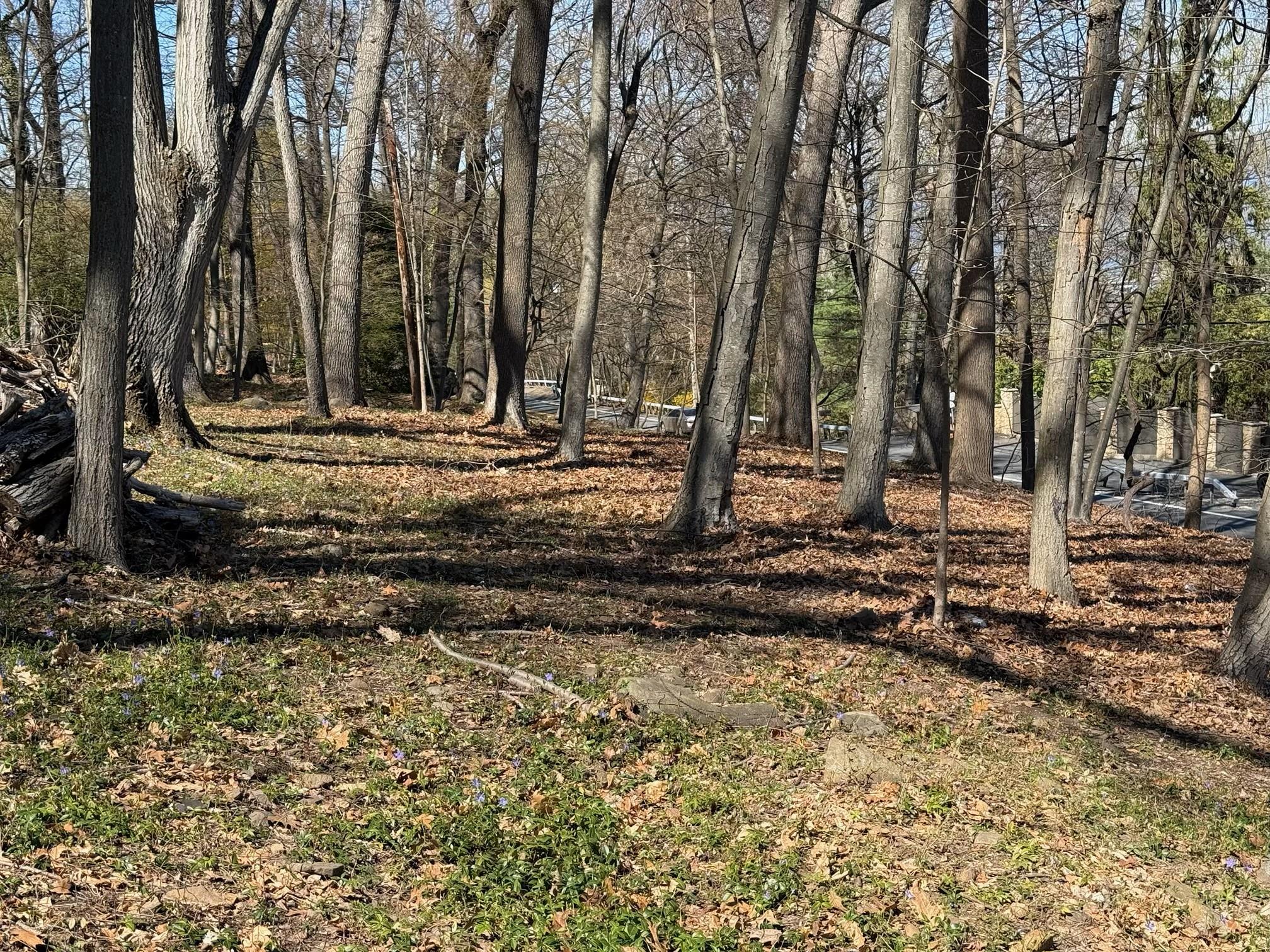 #11 photo, 936 Route 9W, Nyack , NY 10960