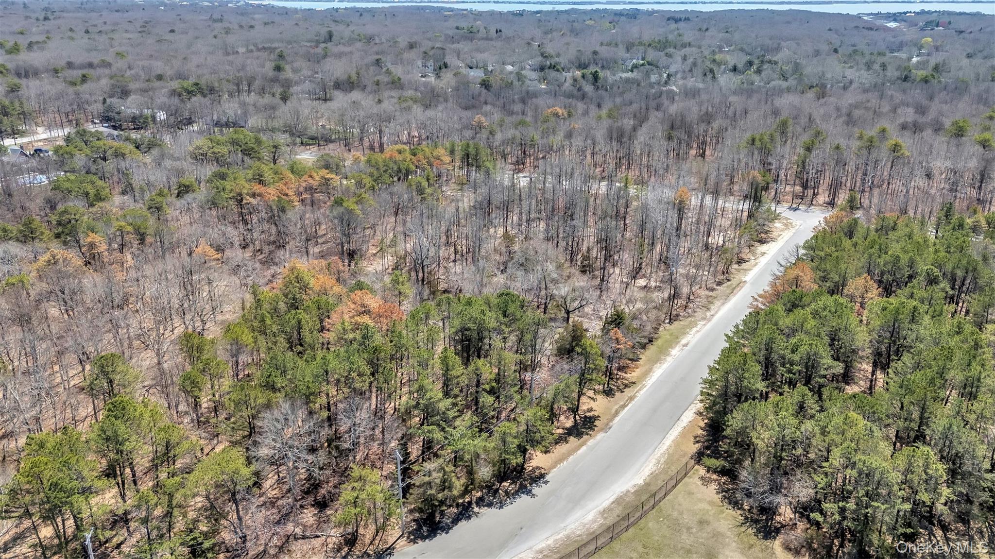 #9 photo, 98 Old Country Road, サフォーク郡 Westhampton , NY 11977