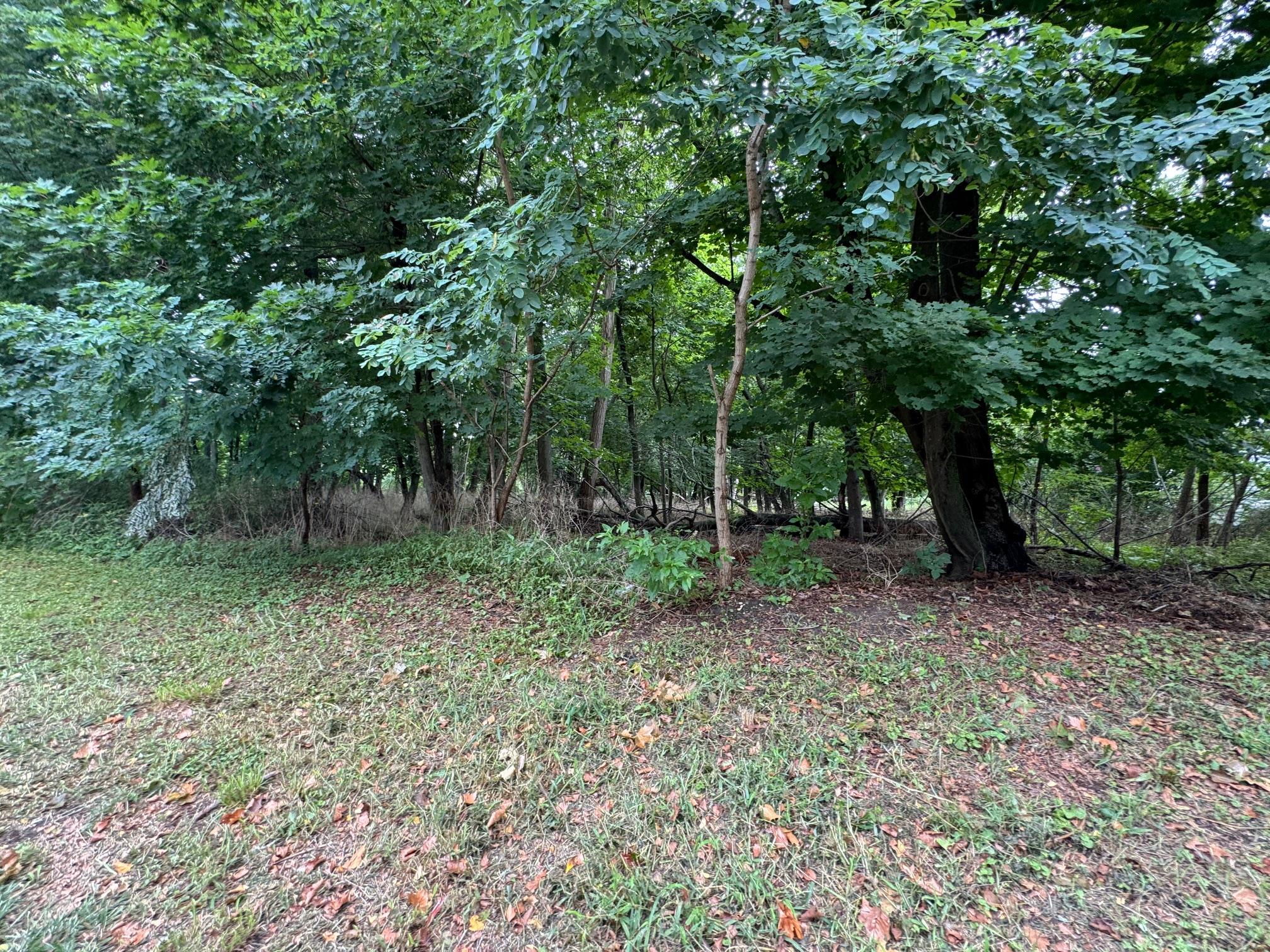 #3 photo, 34100 Route 25, サフォーク郡 Cutchogue , NY 11935