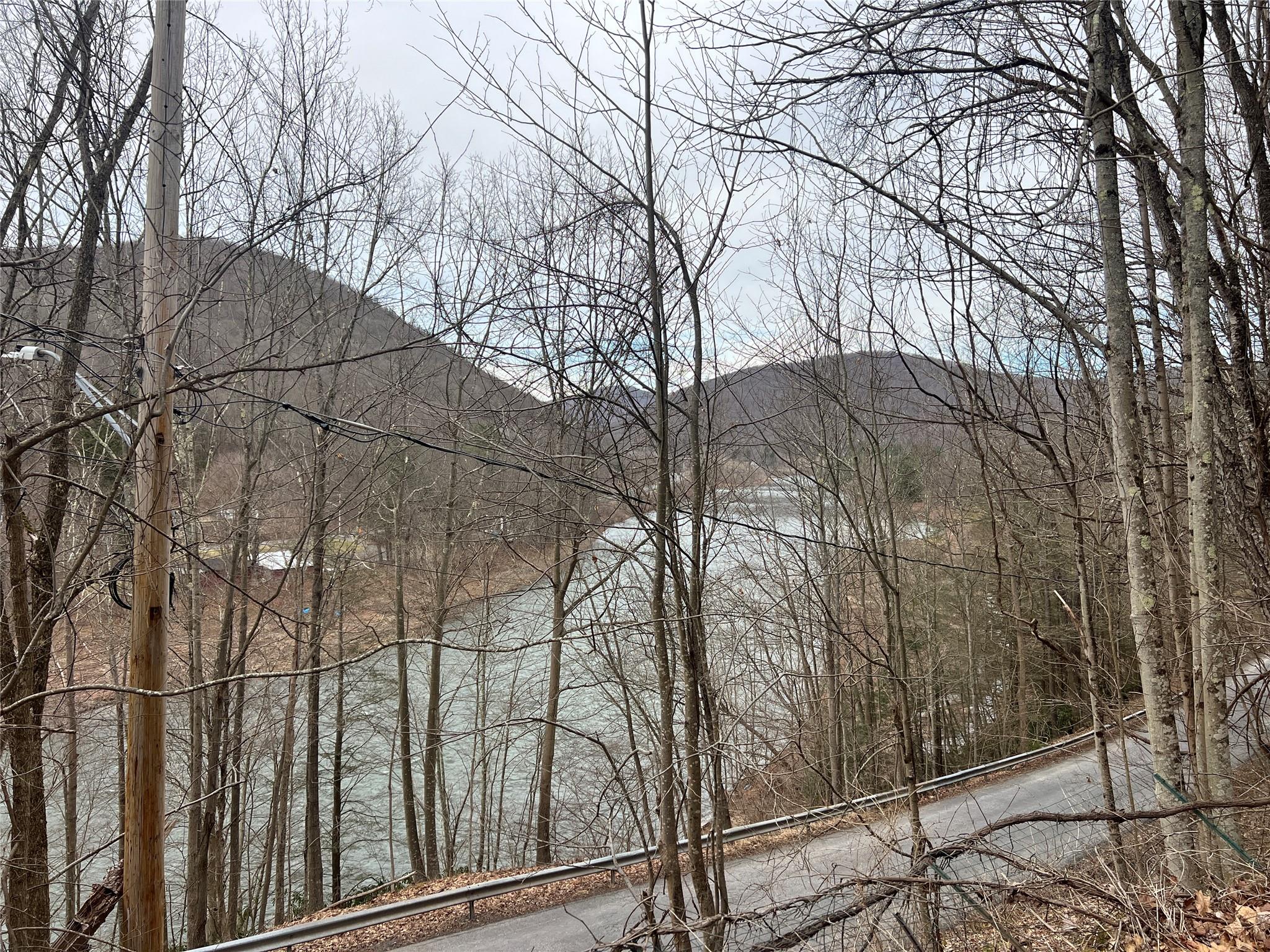 #3 photo, 322 Peas Eddy Road, Hancock , NY 13783