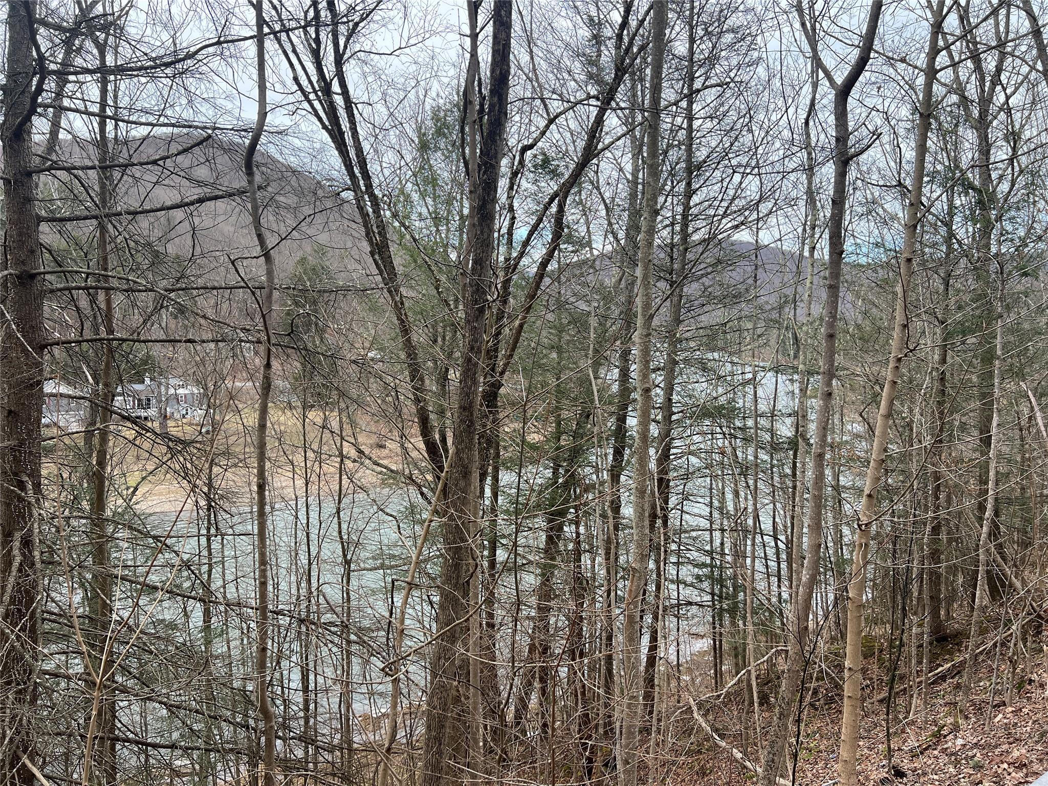 #7 photo, 322 Peas Eddy Road, Hancock , NY 13783