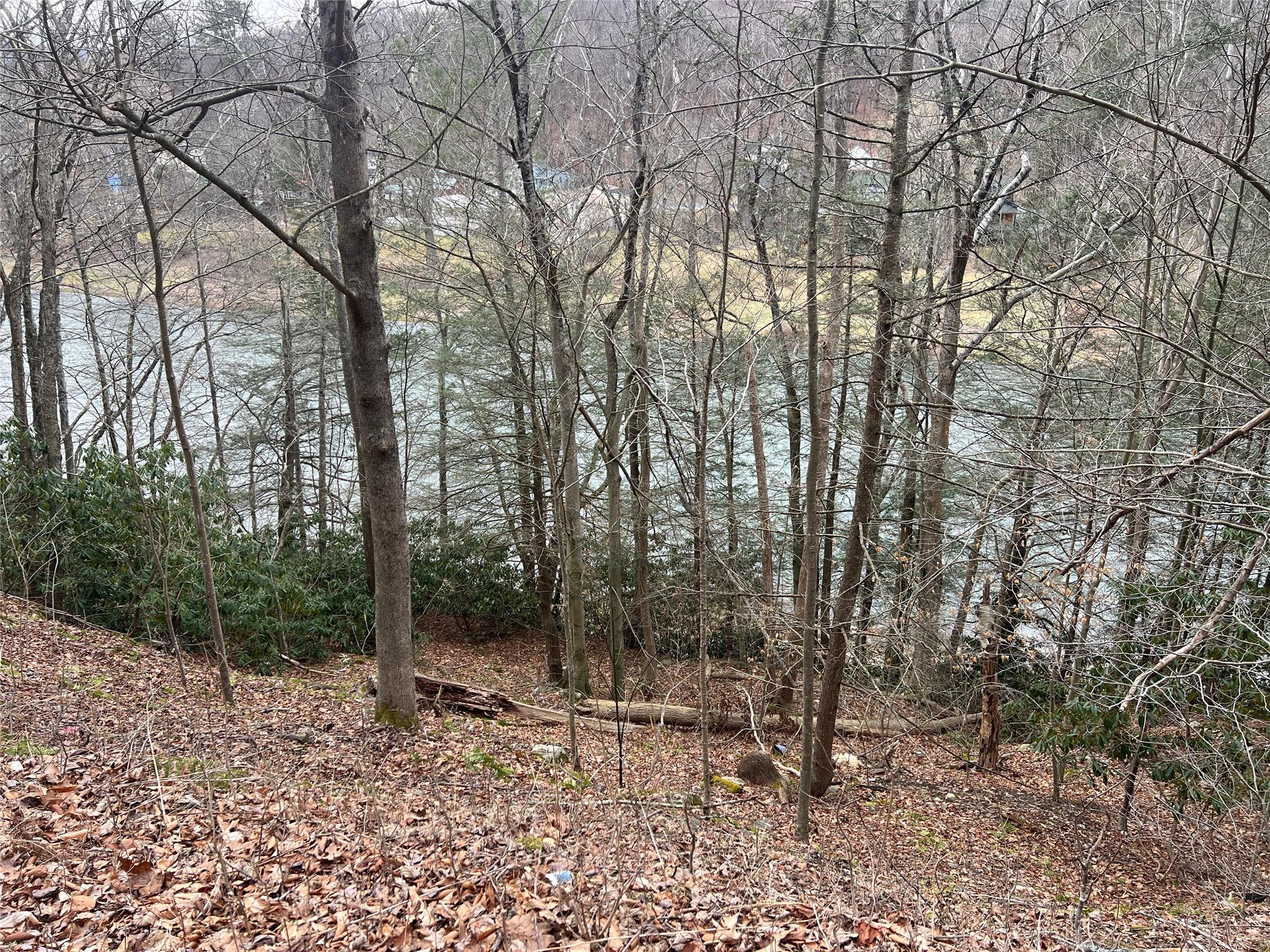 #9 photo, 322 Peas Eddy Road, Hancock , NY 13783