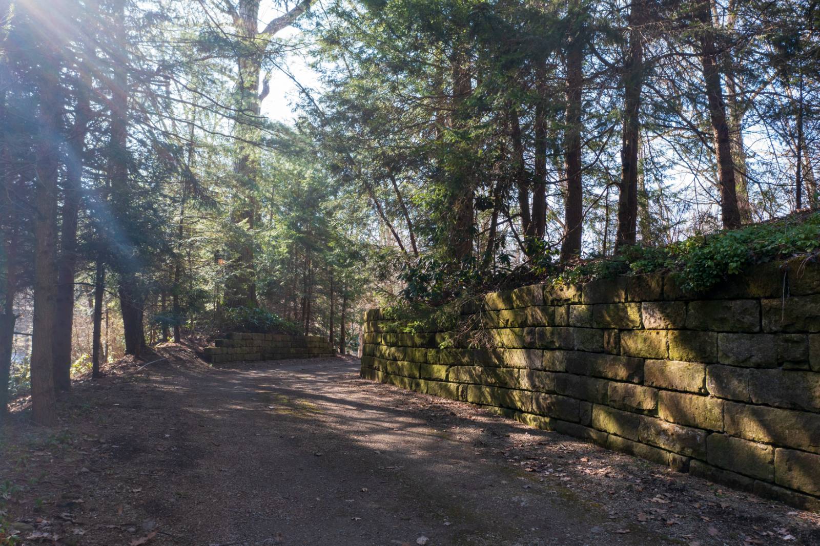 #74 photo, 2440 B Shadyside Rd., Findley Lake , NY 14736