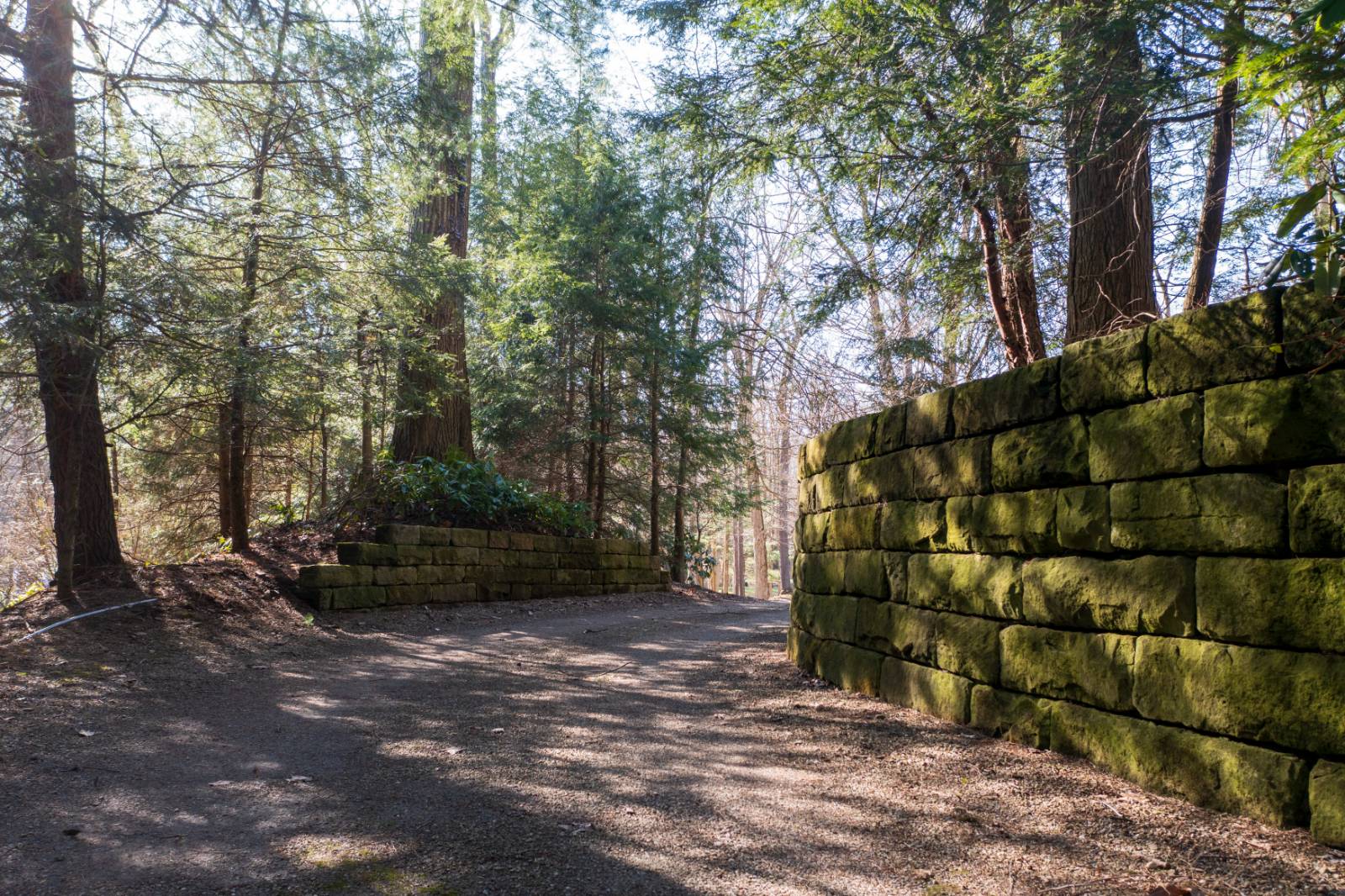 #75 photo, 2440 B Shadyside Rd., Findley Lake , NY 14736