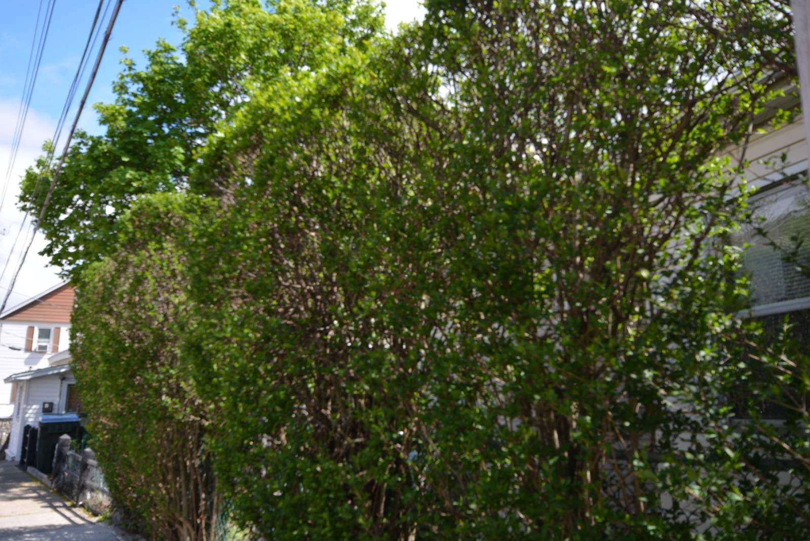 #22 photo, 52 Church Street, Highland Falls , NY 10928