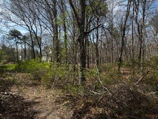 #2 photo, VL Lambert Avenue, サフォーク郡 Mastic , NY 11950