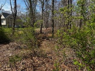 #3 photo, VL Lambert Avenue, サフォーク郡 Mastic , NY 11950