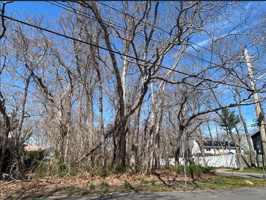 #2 photo, Carlton Avenue, 東長島 Mastic , NY 11950