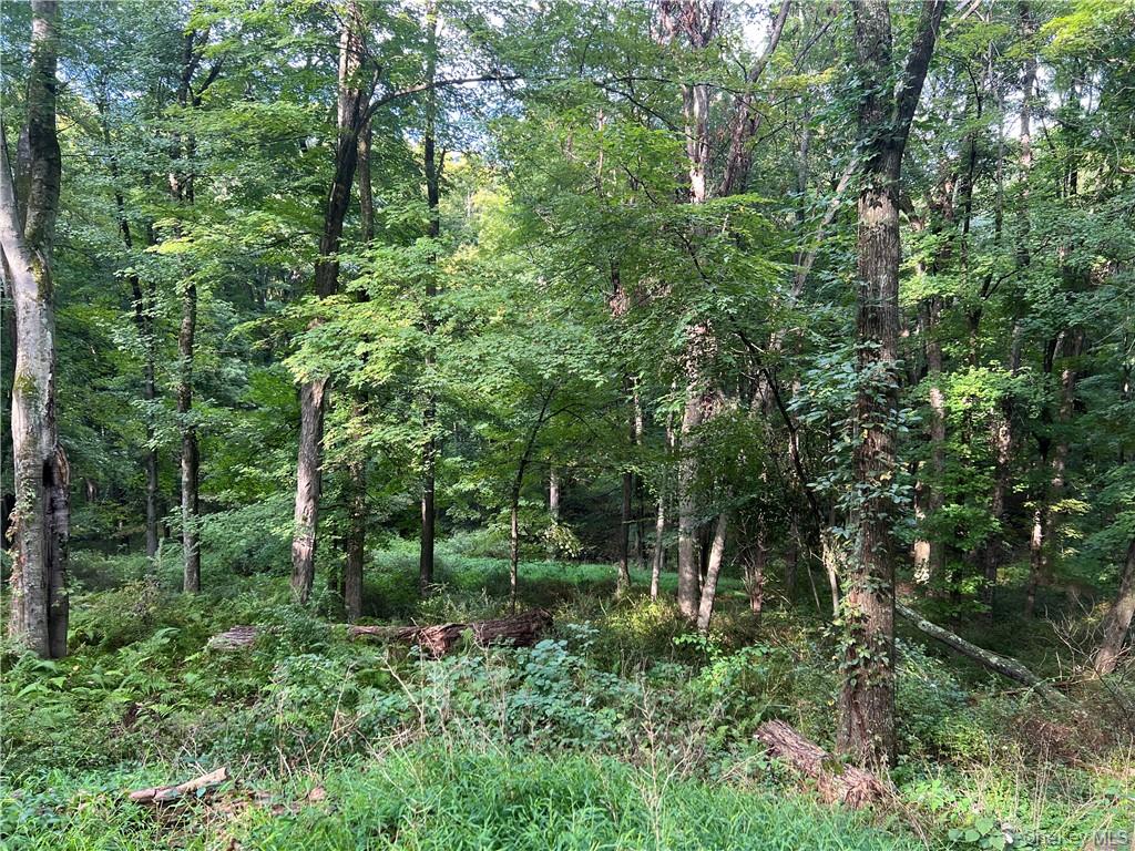 #12 photo, 319 Pound Ridge Road, Bedford , NY 10506