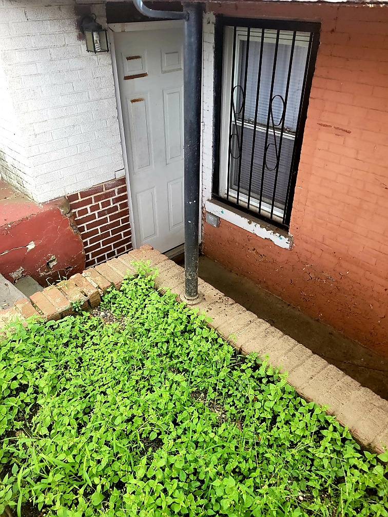 #4 photo, 4420 PARK AVENUE, Belmont , NY 10457