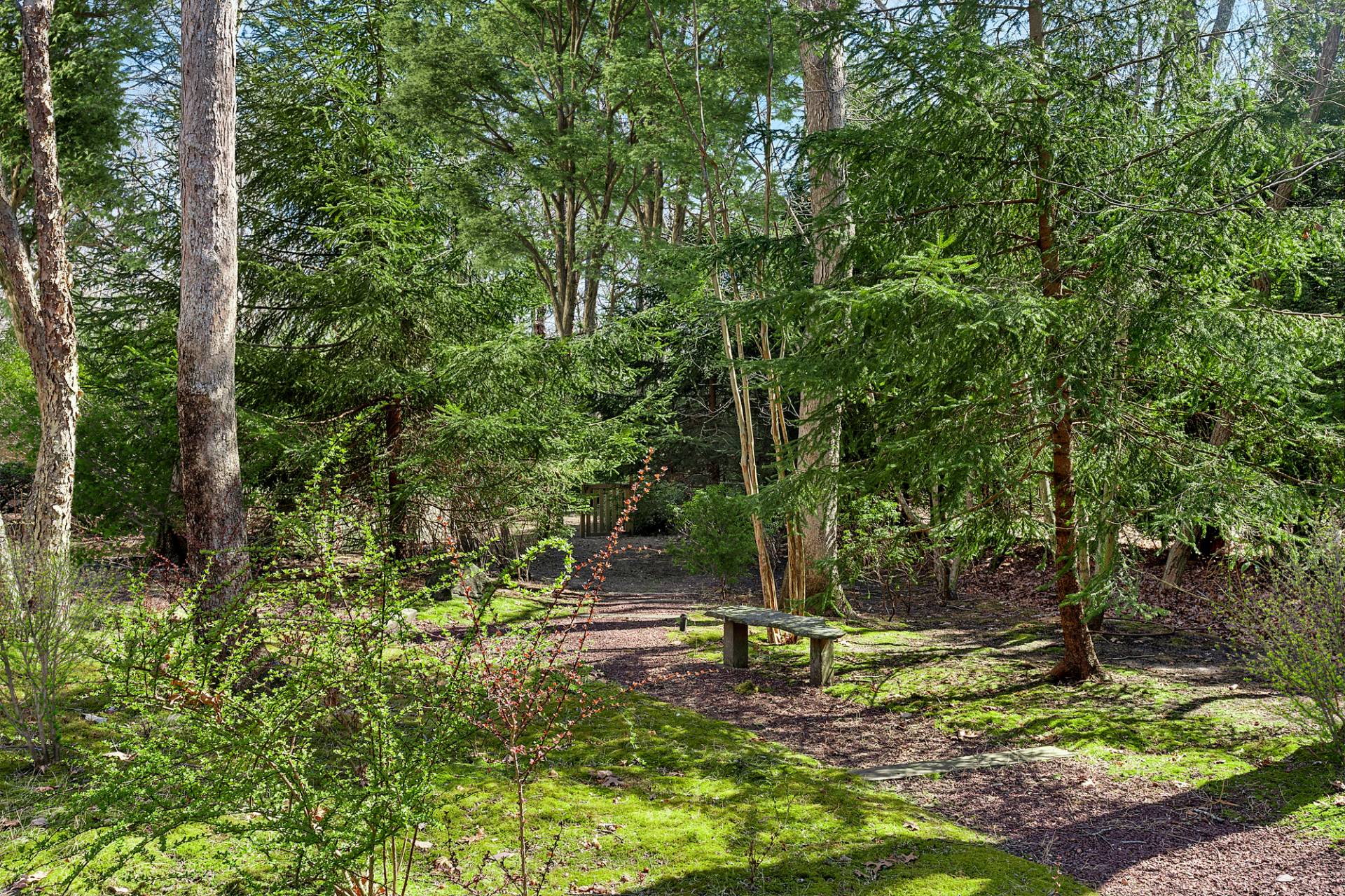 #29 photo, 25 Round Pond Lane, サフォーク郡 Sag Harbor , NY 11963