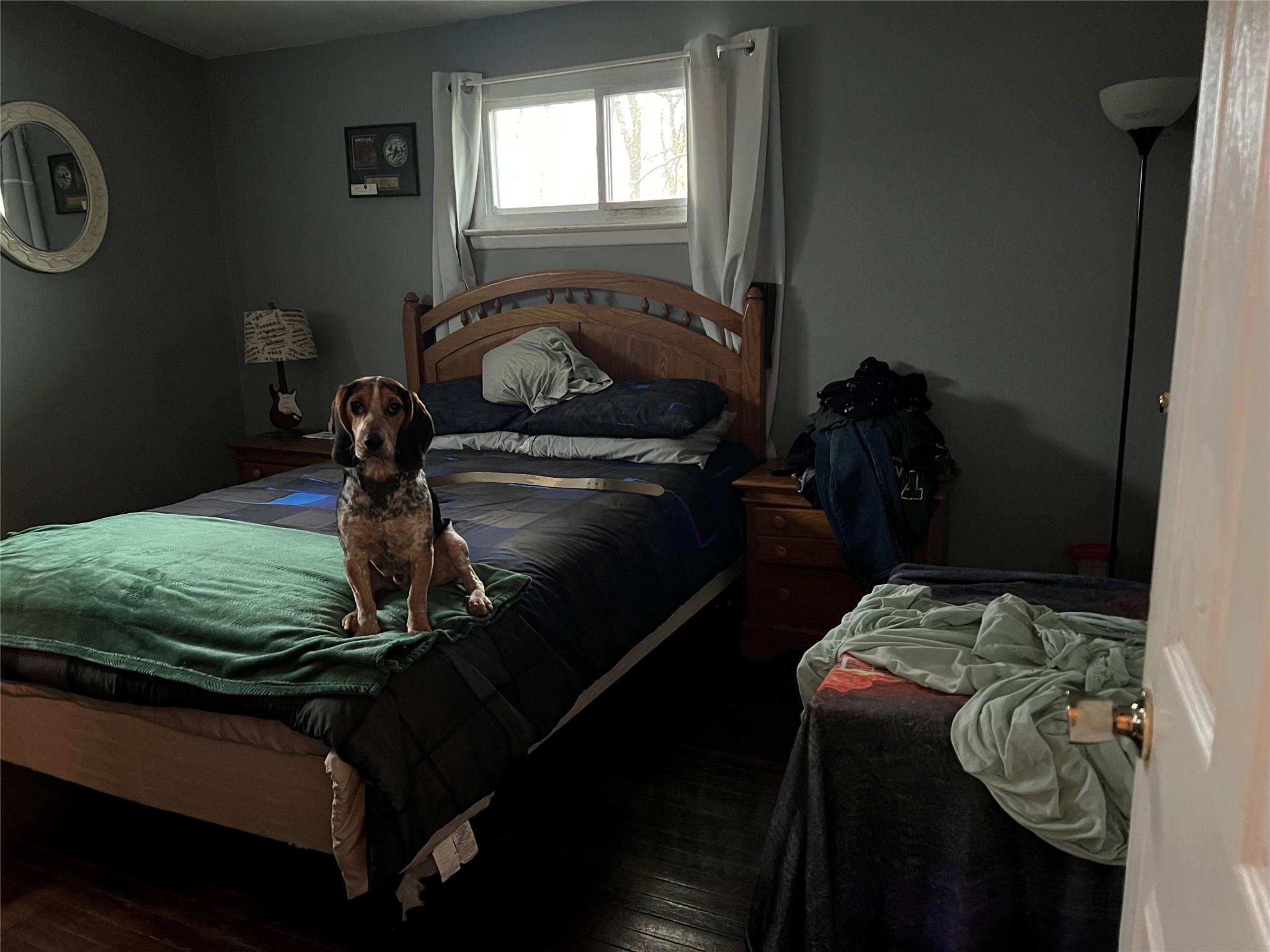 #10 photo, 76 Samuel Street, サフォーク郡 Ronkonkoma , NY 11779