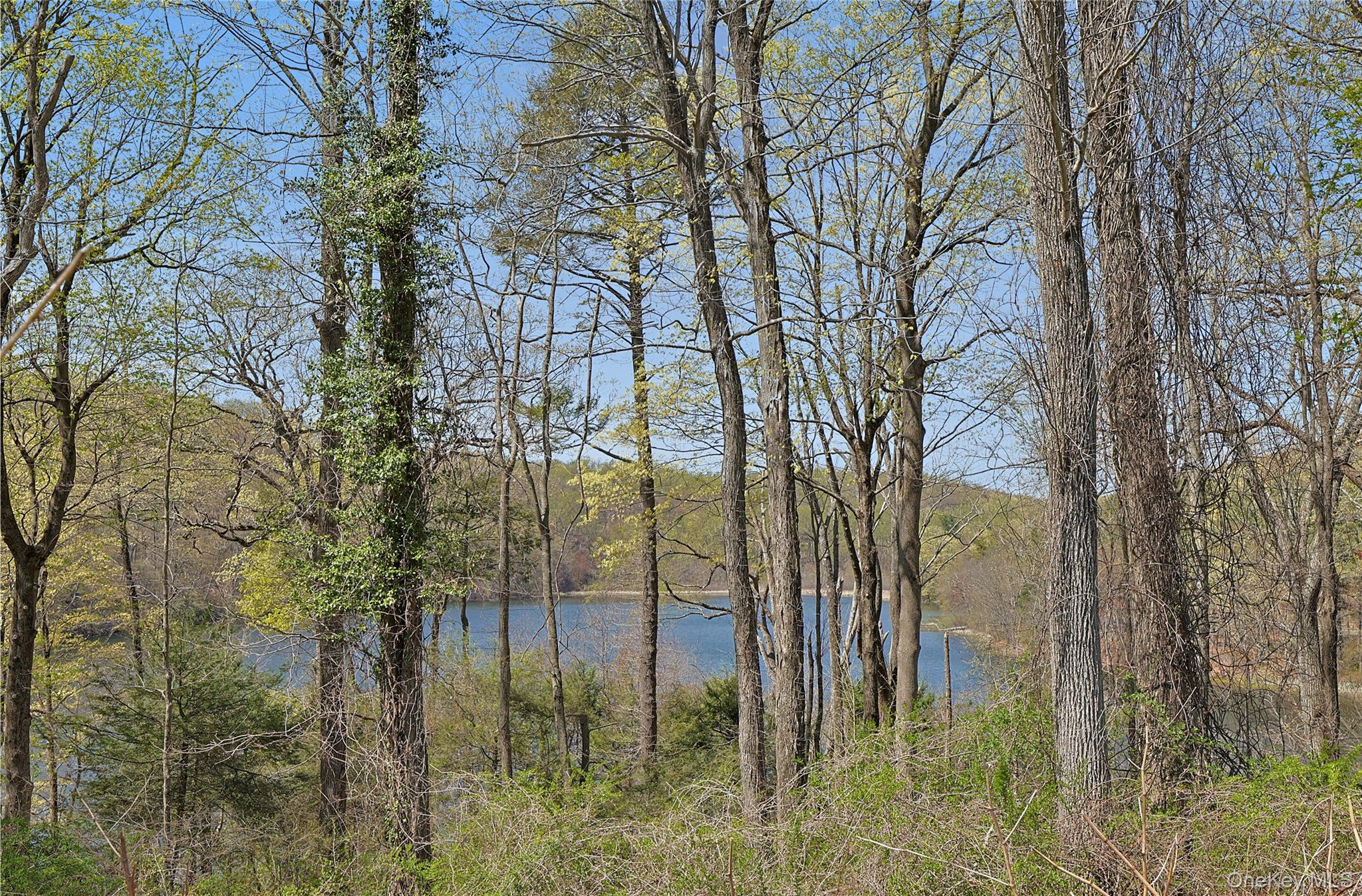 #5 photo, 4-6 Wampus Lake Wampus Lake Drive, Armonk , NY 10504