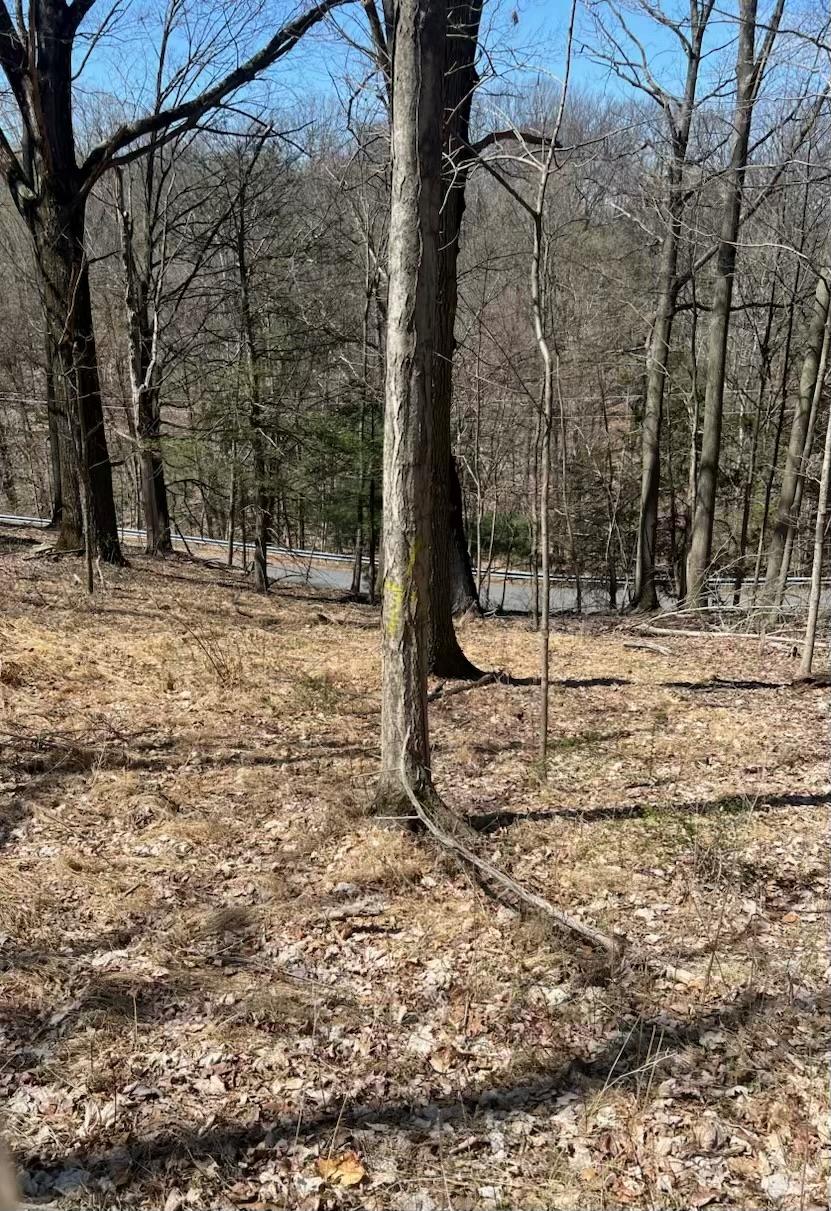 #10 photo, taghkanic, Elizaville , NY 