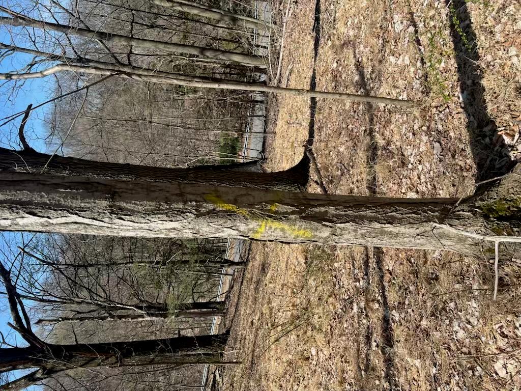 #11 photo, taghkanic, Elizaville , NY 