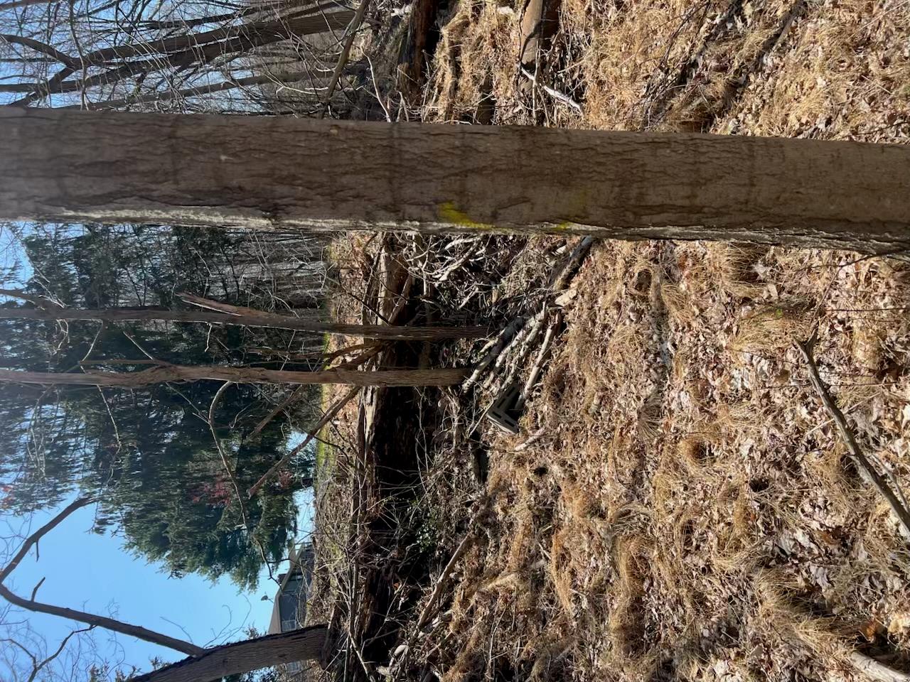 #12 photo, taghkanic, Elizaville , NY 