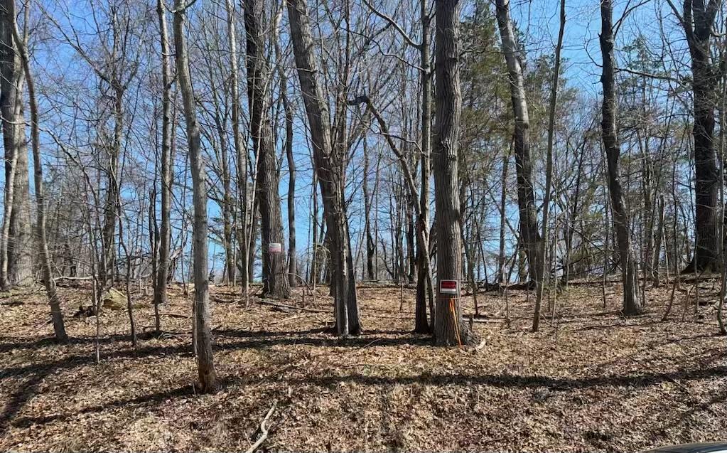 #15 photo, taghkanic, Elizaville , NY 