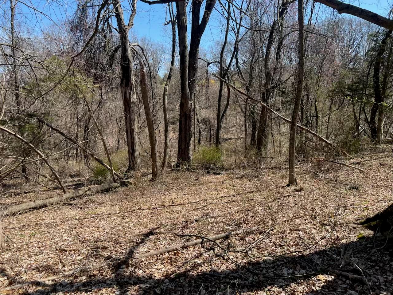 #3 photo, taghkanic, Elizaville , NY 