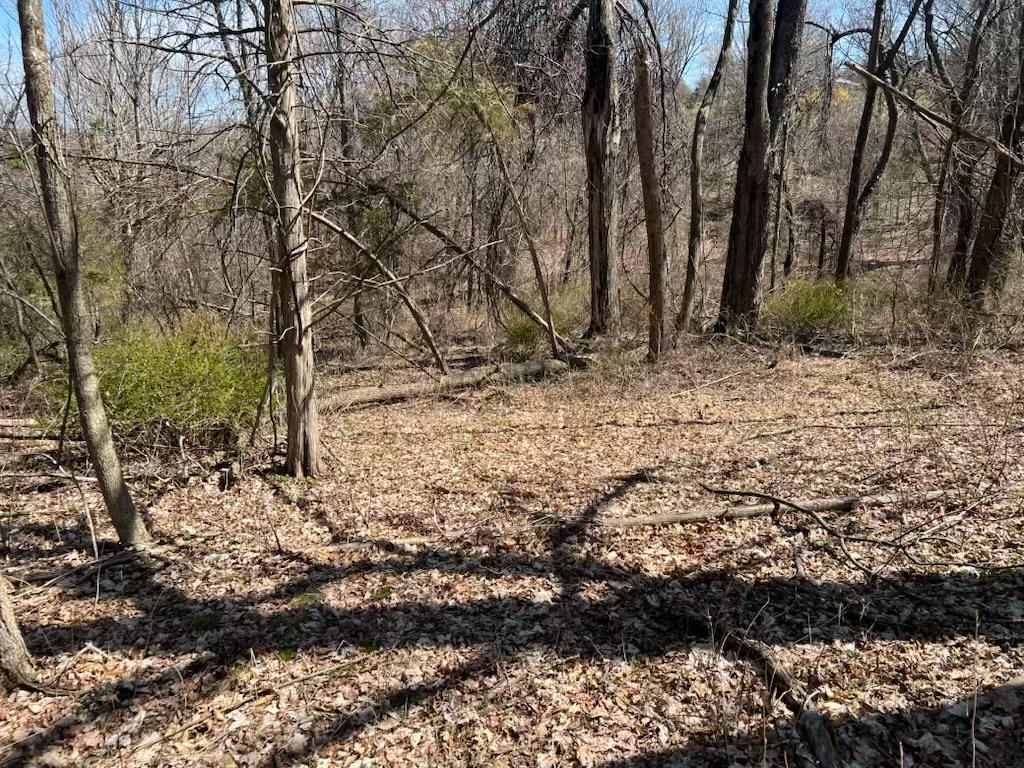 #4 photo, taghkanic, Elizaville , NY 